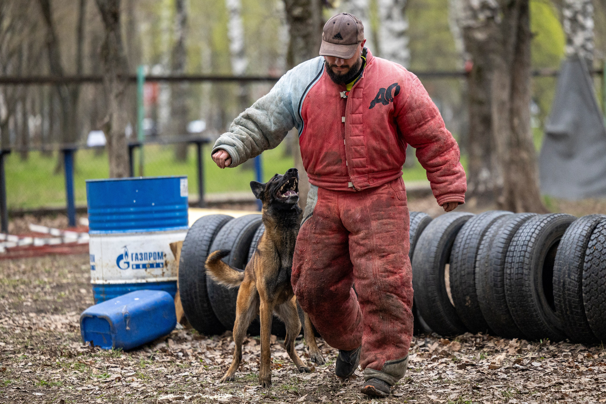 Квалификационные состязания по мондьорингу г. Вологда 11.05.24. Фотограф-анималист Анна Маринич
