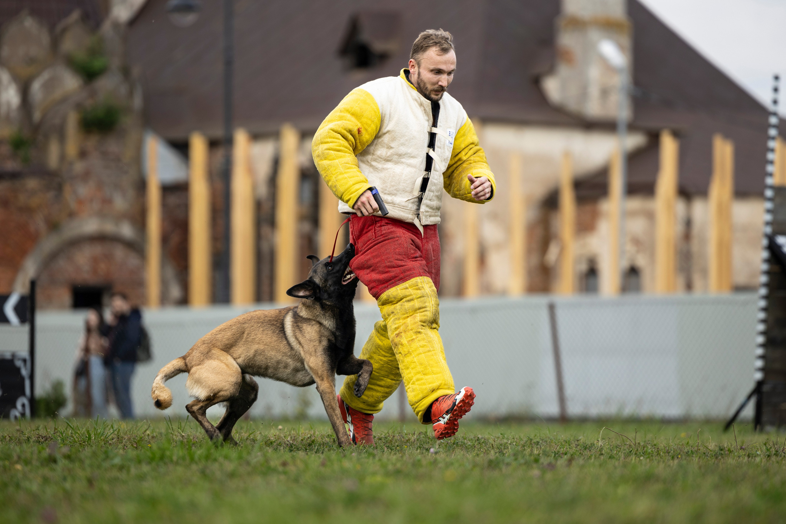 Испытания по Мондьорингу г. Пушкин. Фотограф-анималист Анна Маринич