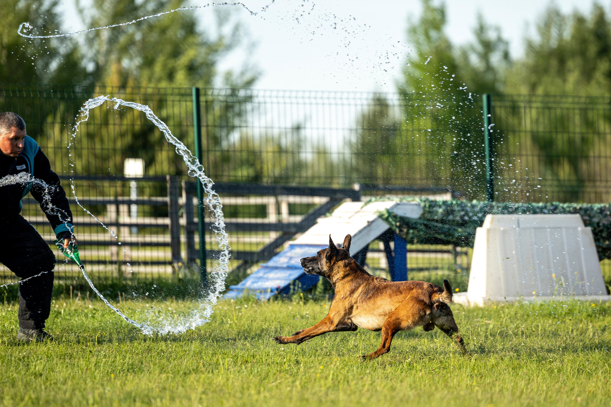 Испытания по мондьорингу в Нижнем Новгороде. Фотограф-анималист Анна Маринич