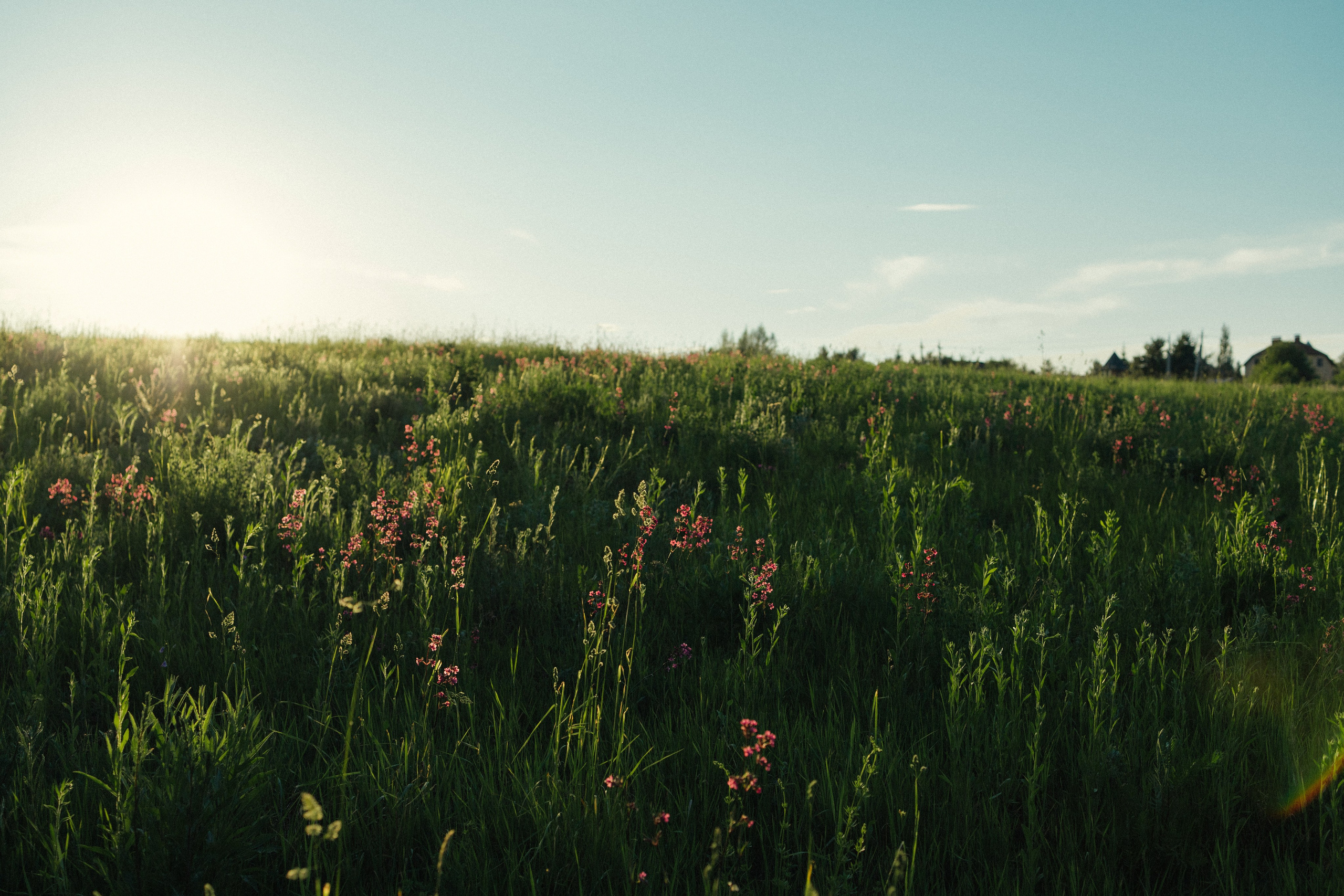 Istra. Женский фотограф Истра