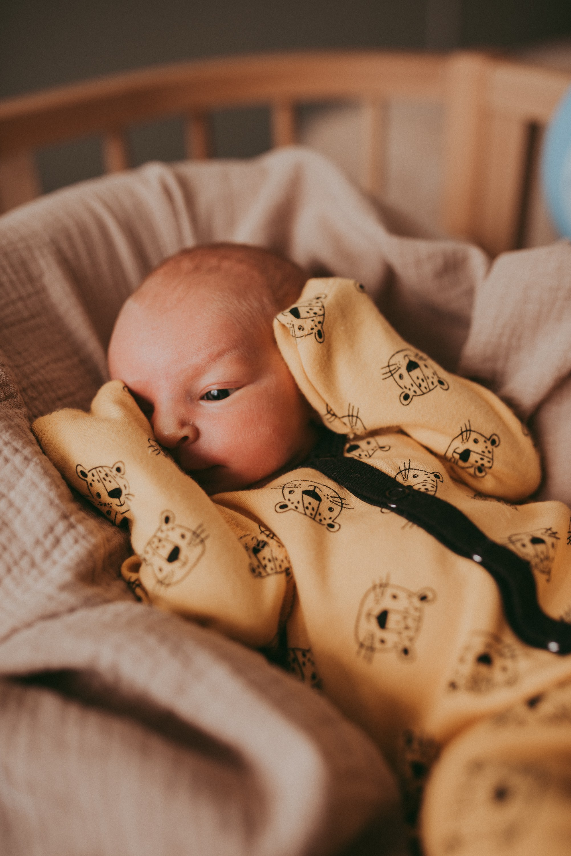 Маленький космос. Семейный и детский фотограф в Новосибирске и Краснообске — Анна Ким