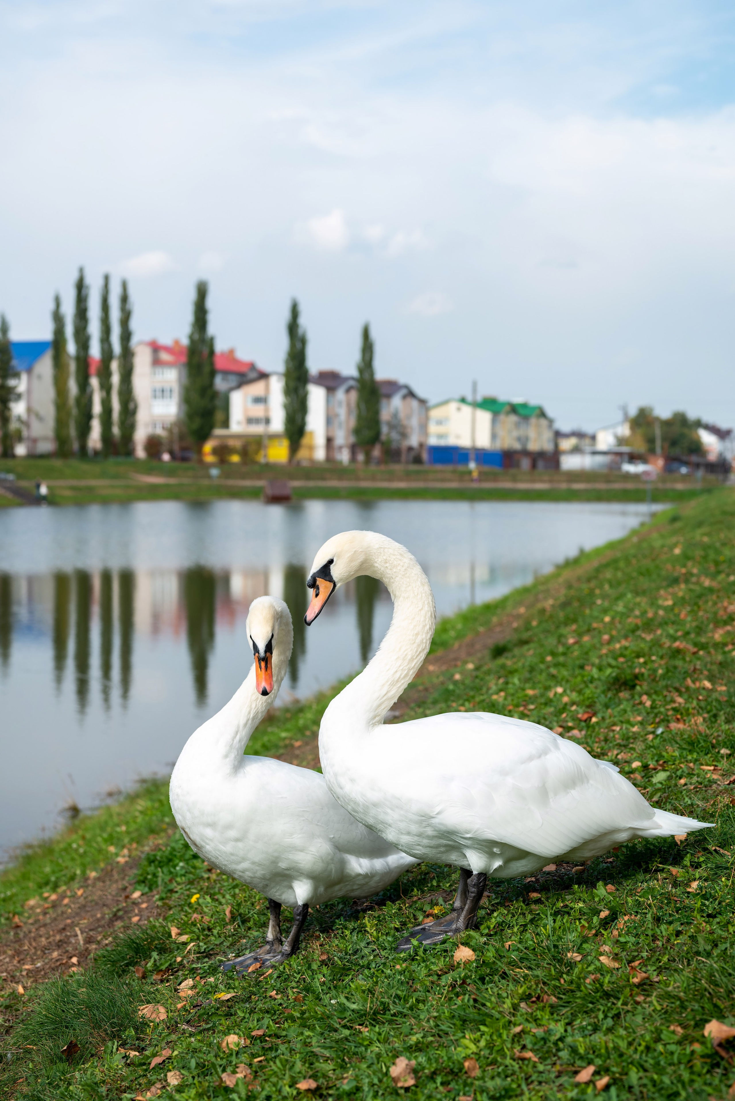 Эдуард и Ирина. Фотограф в городе Салават