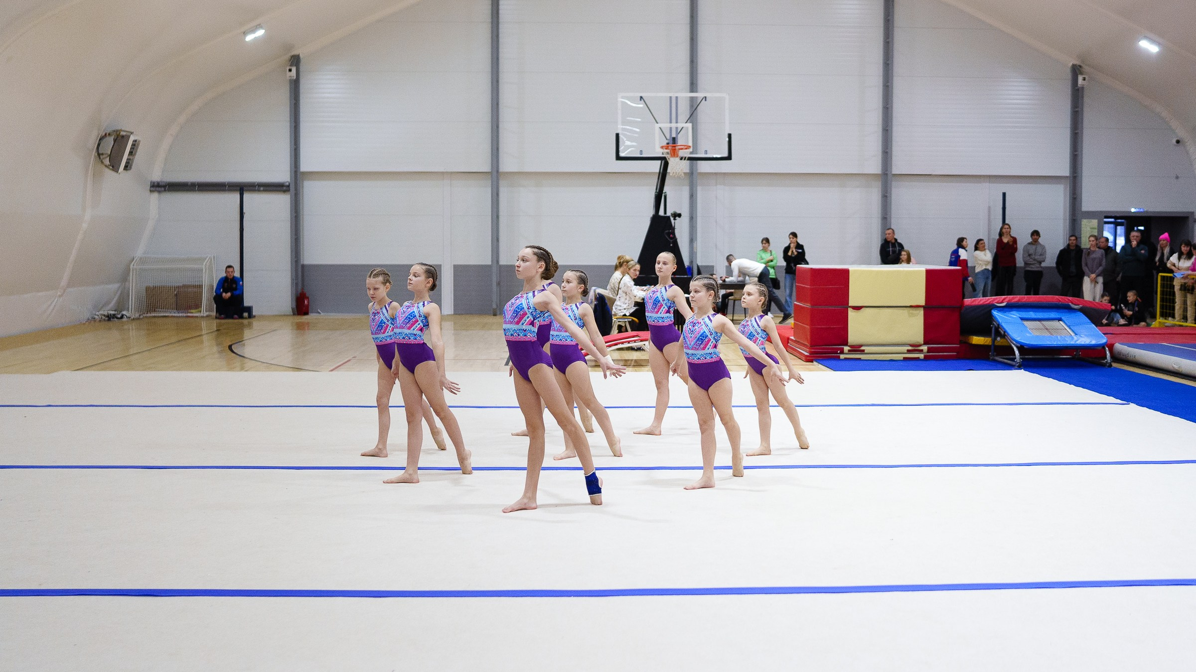 Гимнастика. Фотограф Москва