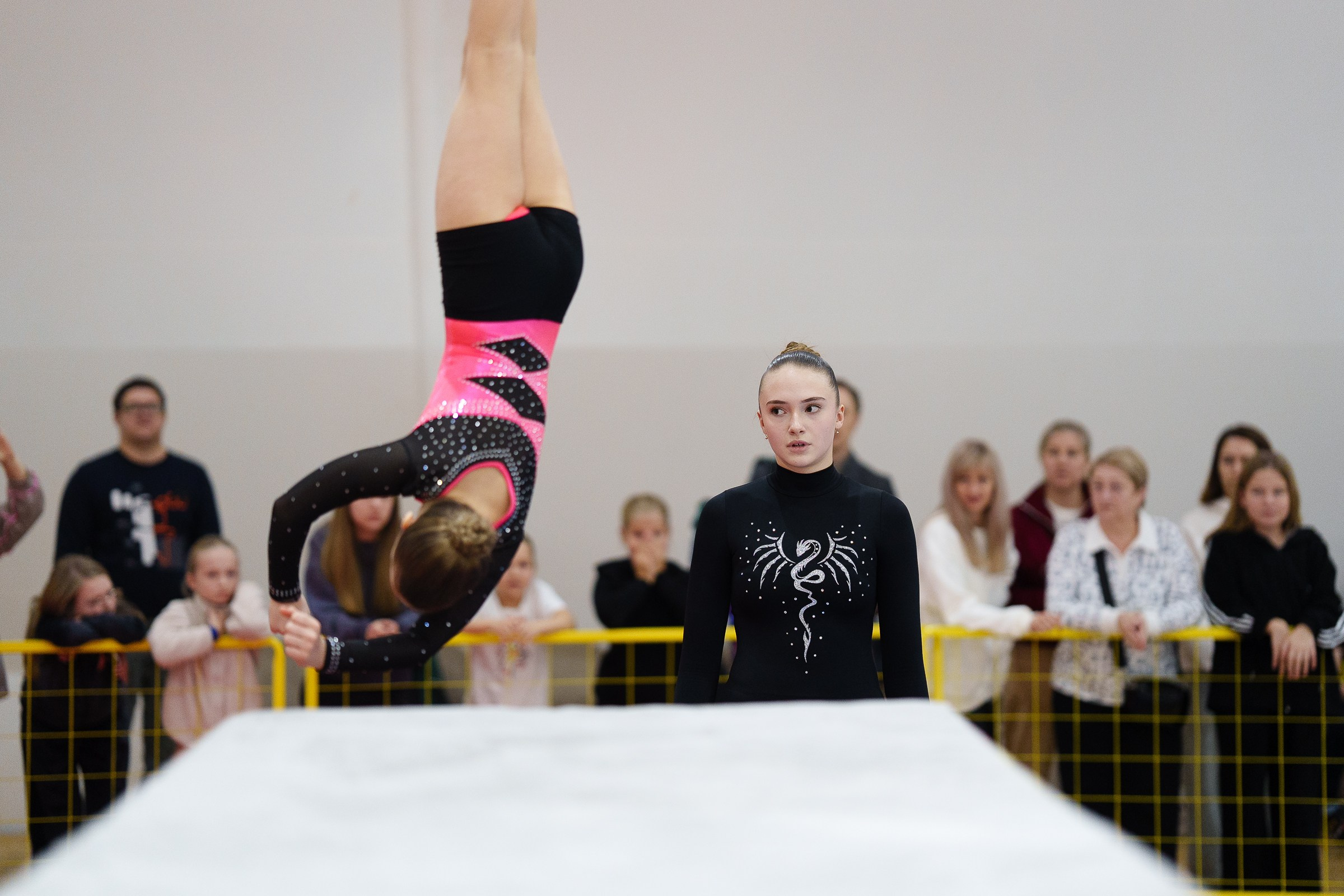 Гимнастика. Фотограф Москва