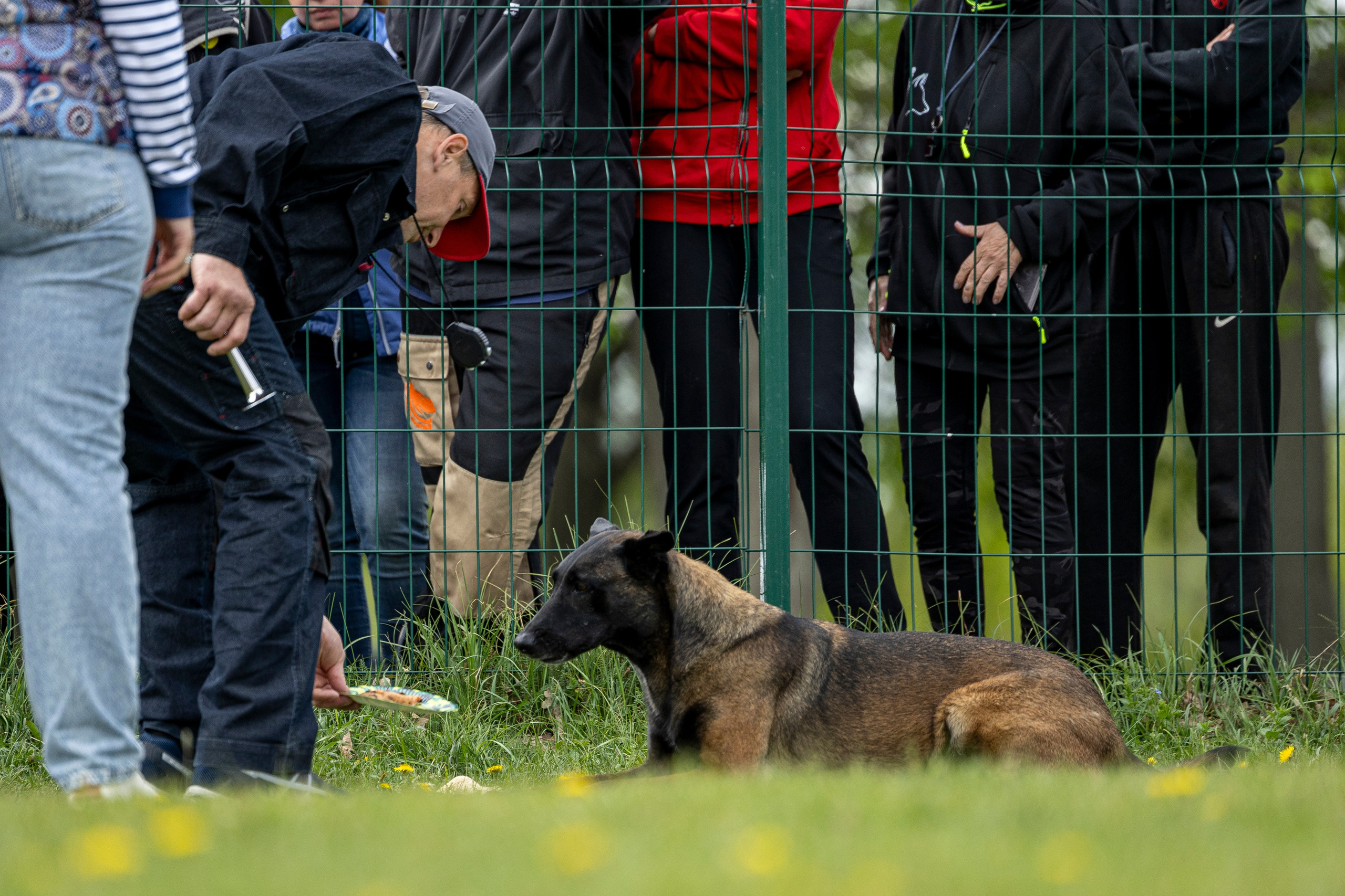 Испытания по мондьорингу в Нижнем Новгороде. Фотограф-анималист Анна Маринич