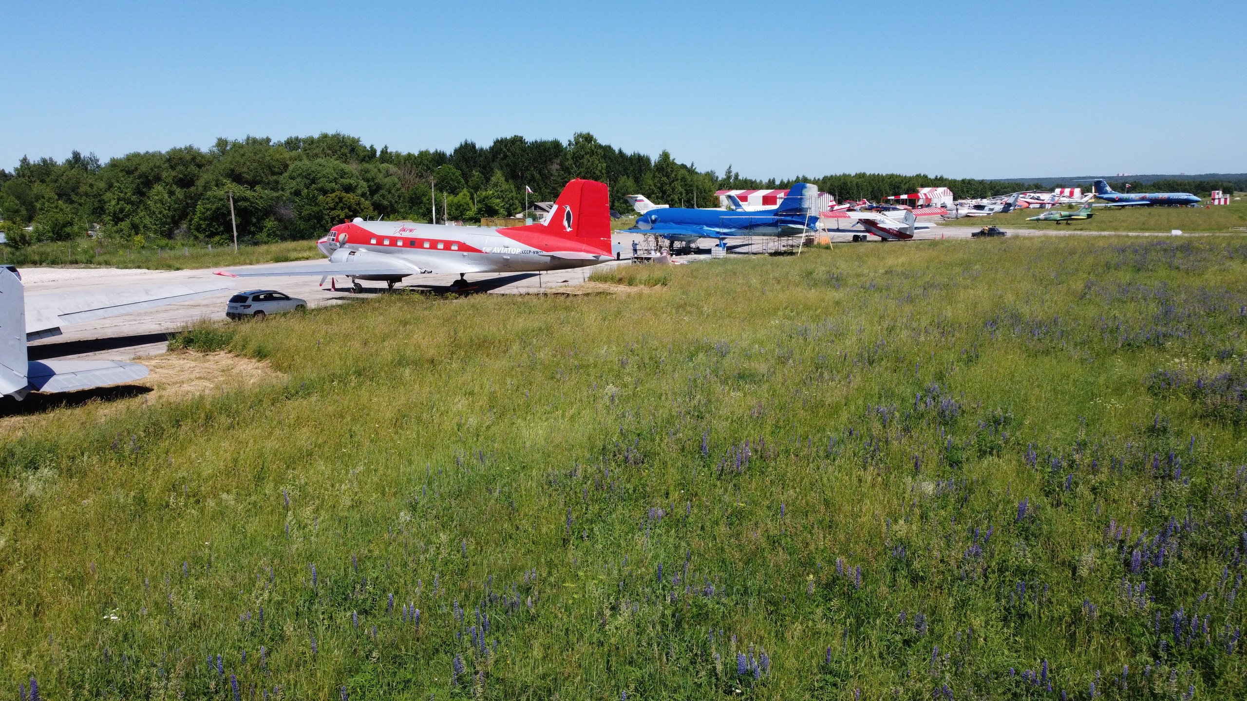 Ил-14Т «Голубая Мечта» — покраска (2022г). Фотоальбом показывающий увлекательный мир авиации и мир медведей Андрея Иванова