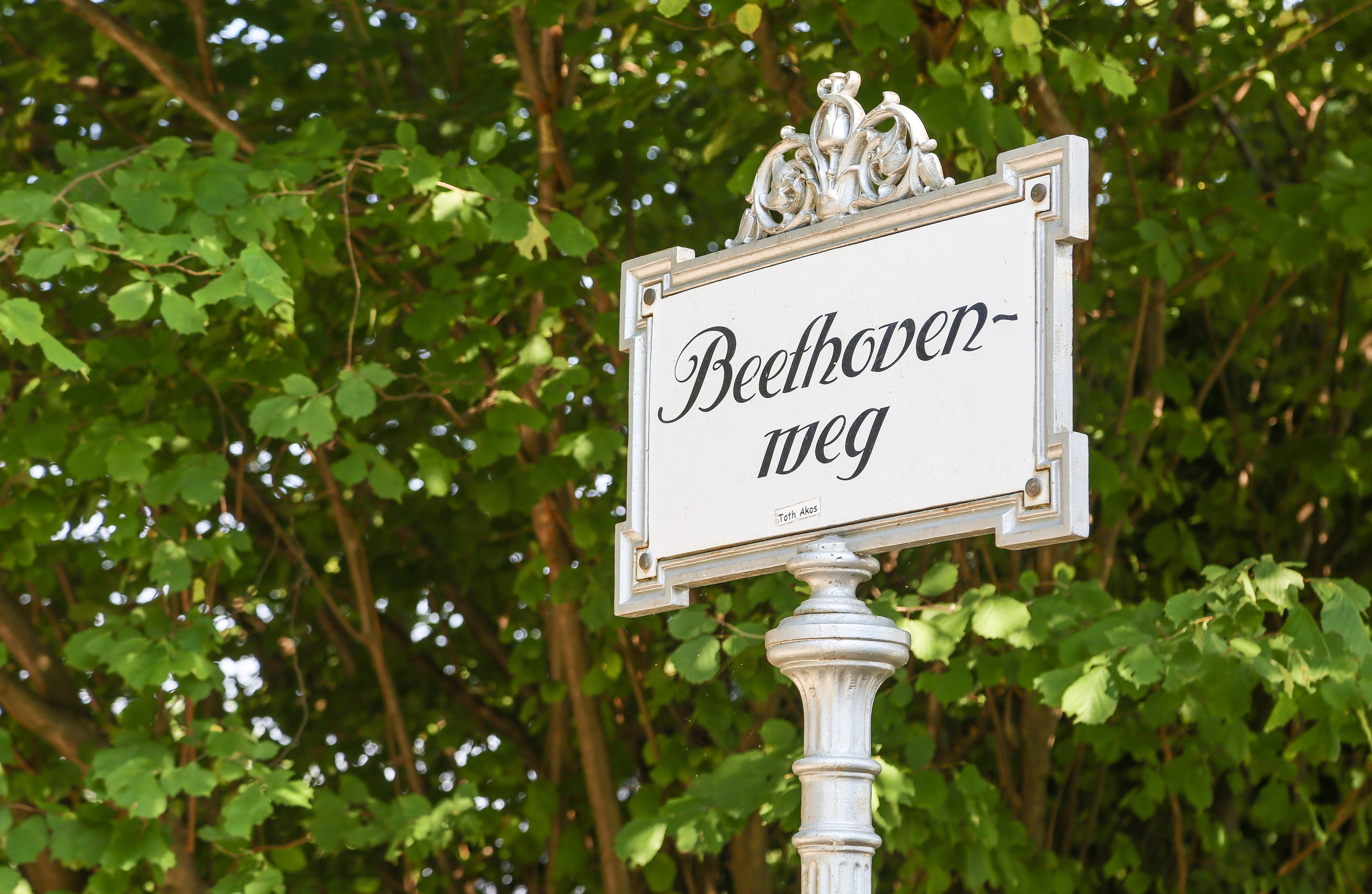 Австрия: Баден. Дарья Письменюк / Darya Leitstern — фотограф, музыкант, журналист, путешественник