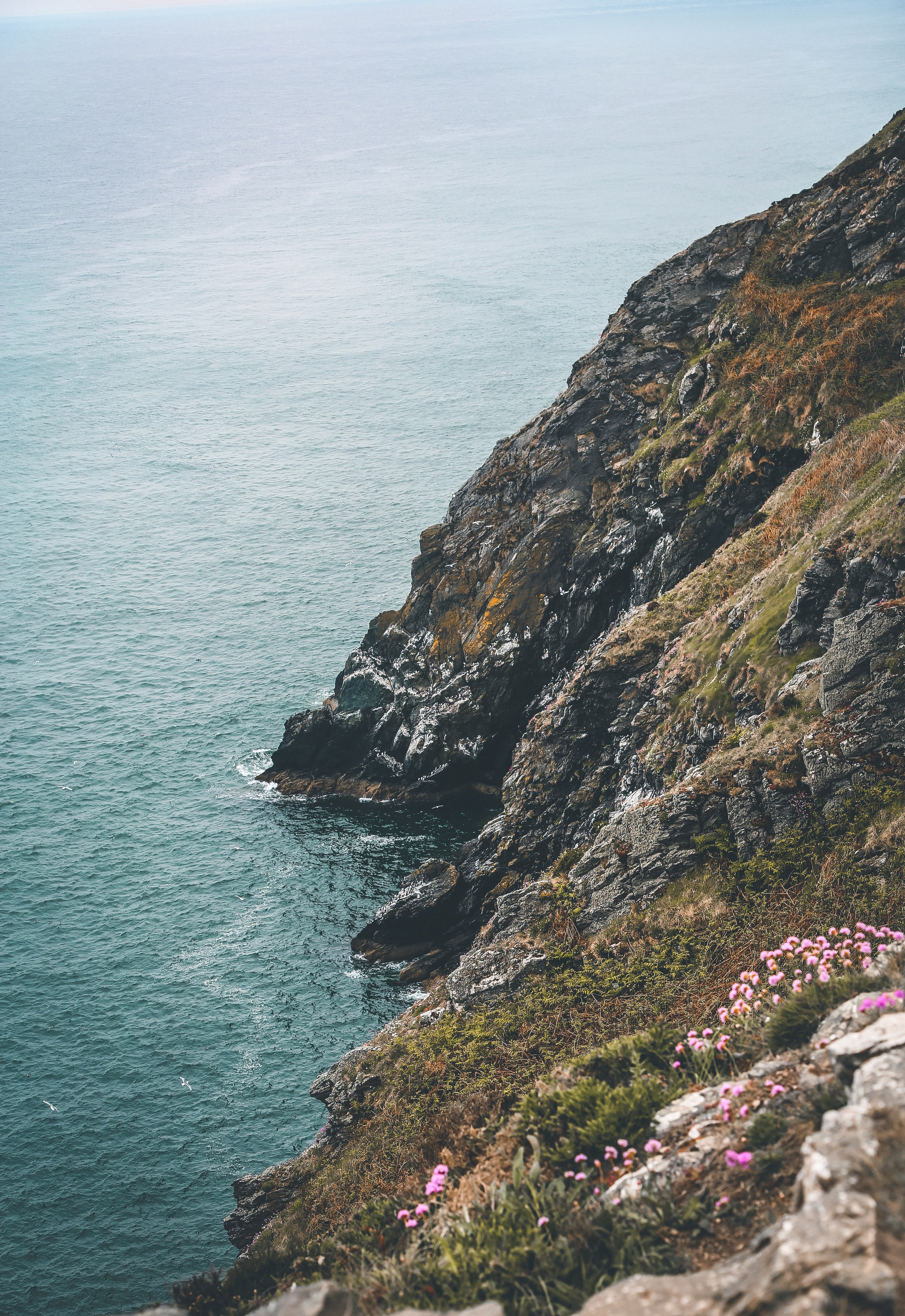 Ирландия: Хоут — тропинка на одного. Дарья Письменюк / Darya Leitstern — фотограф, музыкант, журналист, путешественник
