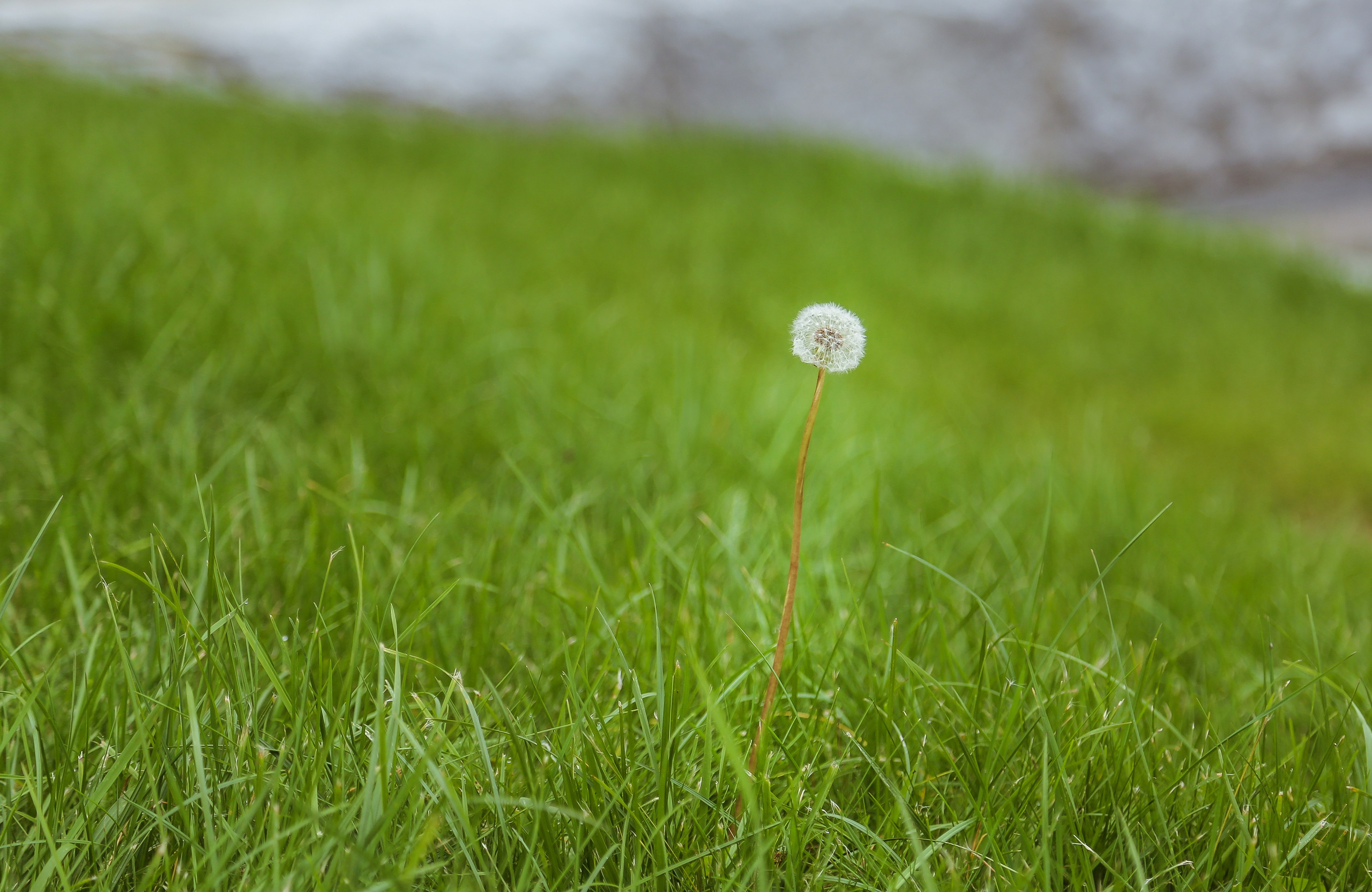 Минск. Дарья Письменюк / Darya Leitstern — фотограф, музыкант, журналист, путешественник