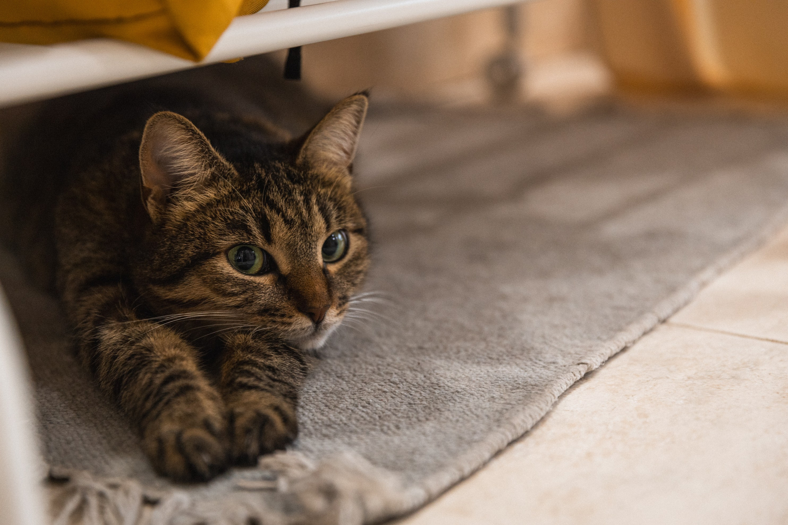 Олеся и Ева. Семейный и детский фотограф в Обнинске Анастасия Улитко