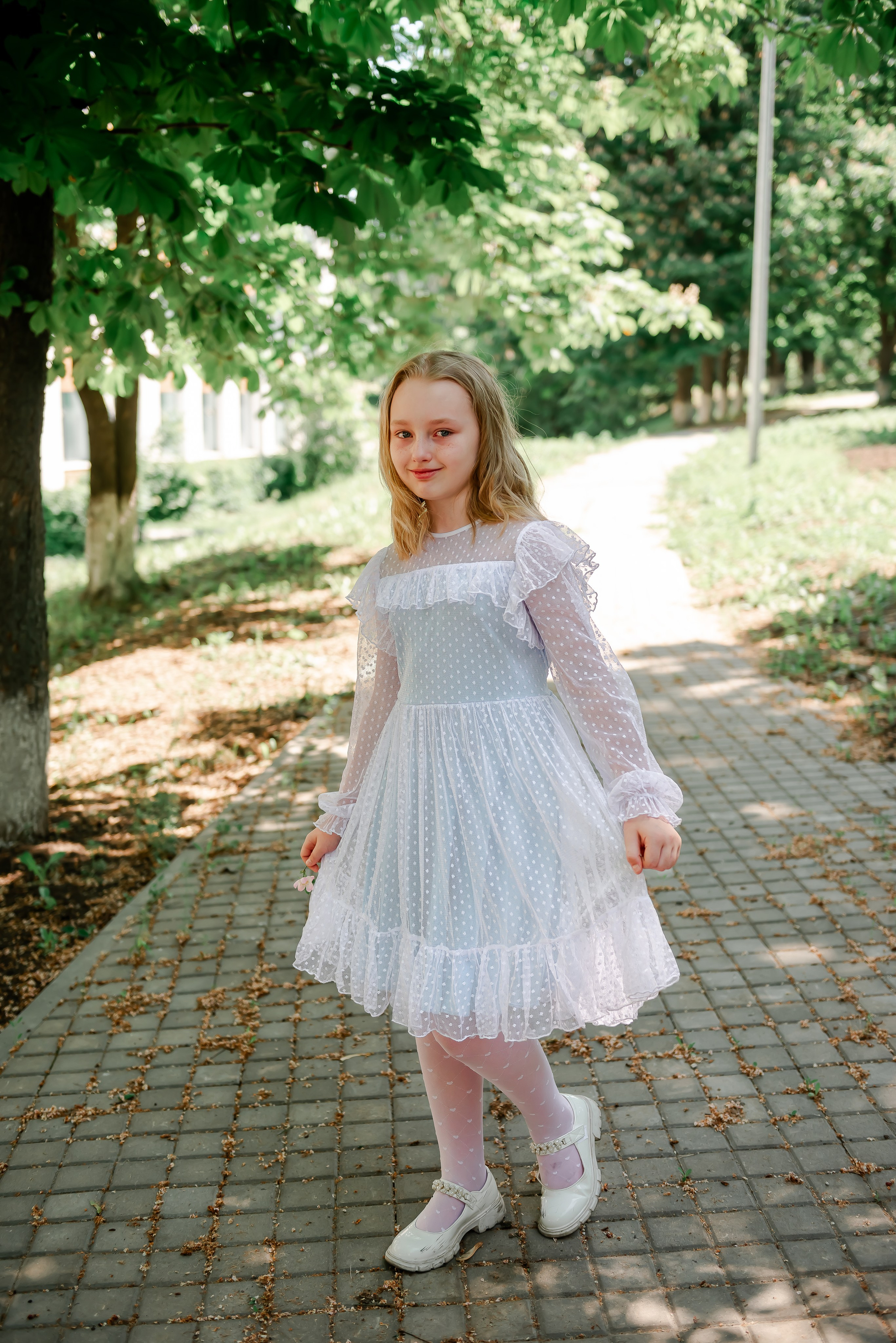 4 «Б» |г.Белгород |31 школа|2024-2025. ALBUMIA