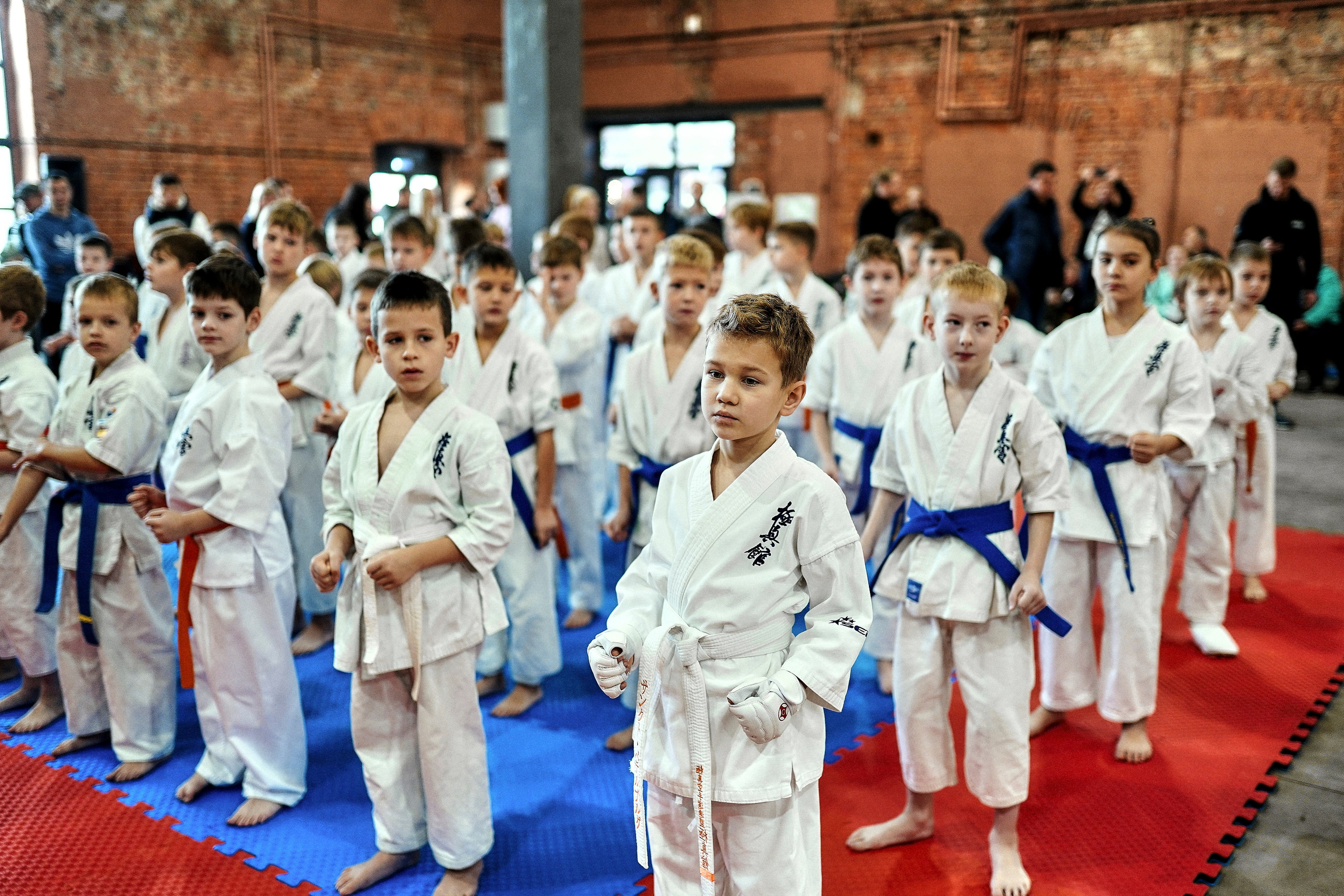 Репортаж детских соревнований киокушин каратэ. Репортажный фотограф Ирина Курманаева