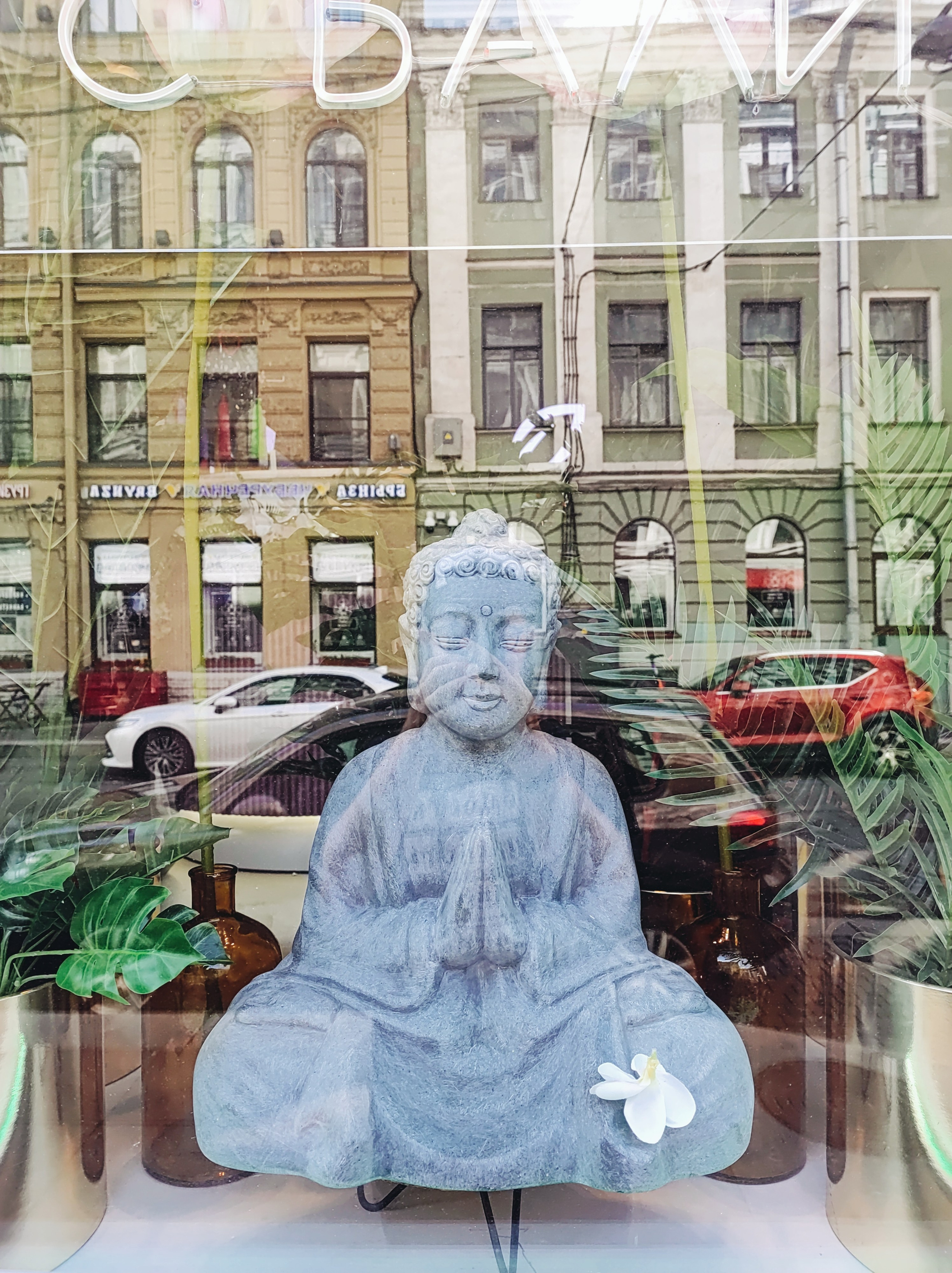 Намобилкус питерский. Репортажный фотограф Алексей Пирязев