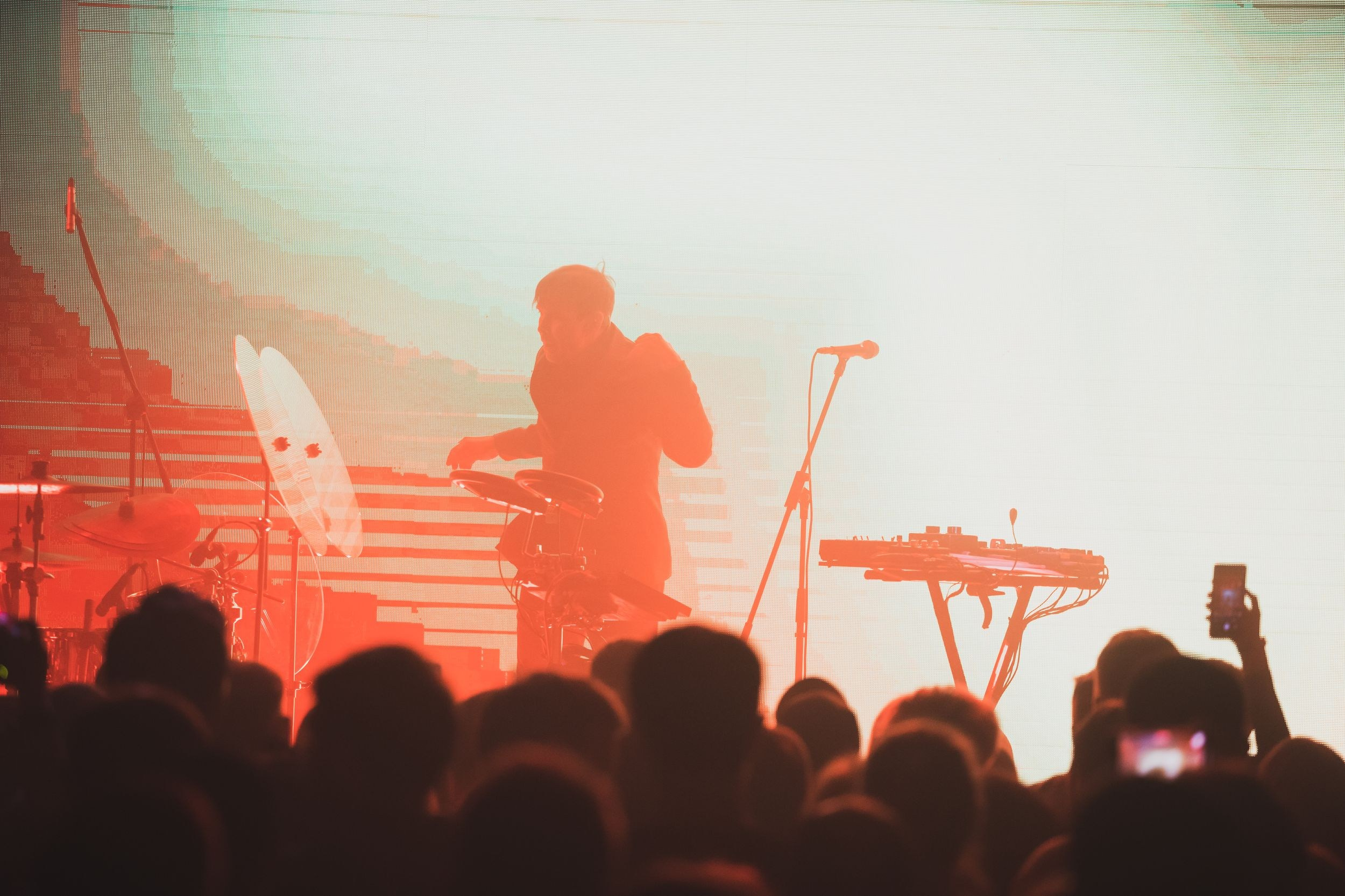 Дельфин. Репортажный фотограф Алексей Пирязев