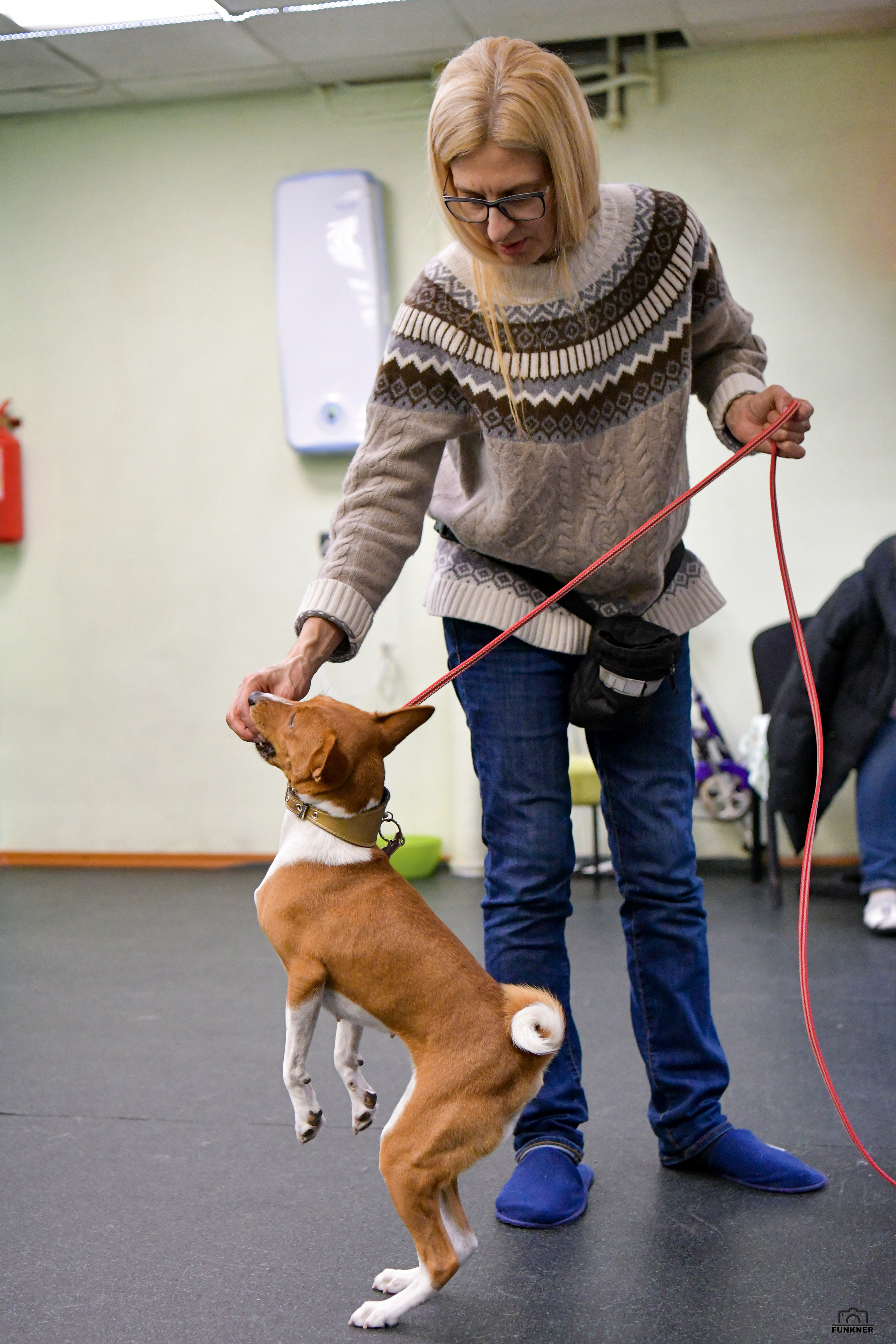 Кинологический клуб «Бодрый хвост». Свой взгляд через объектив