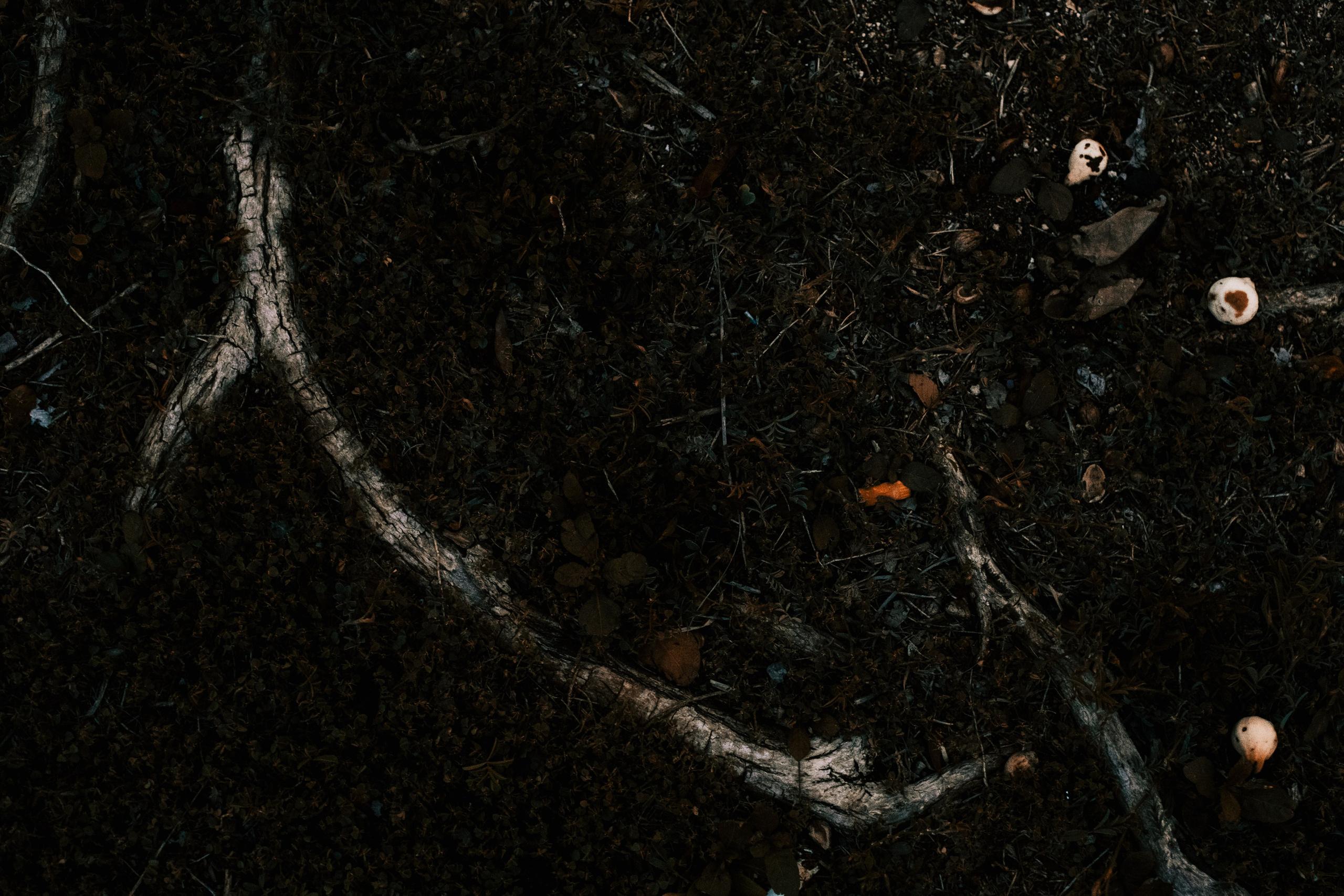 Margarita Rodionova — a contemporary lens-based artist currently working in Cancun, Mexico