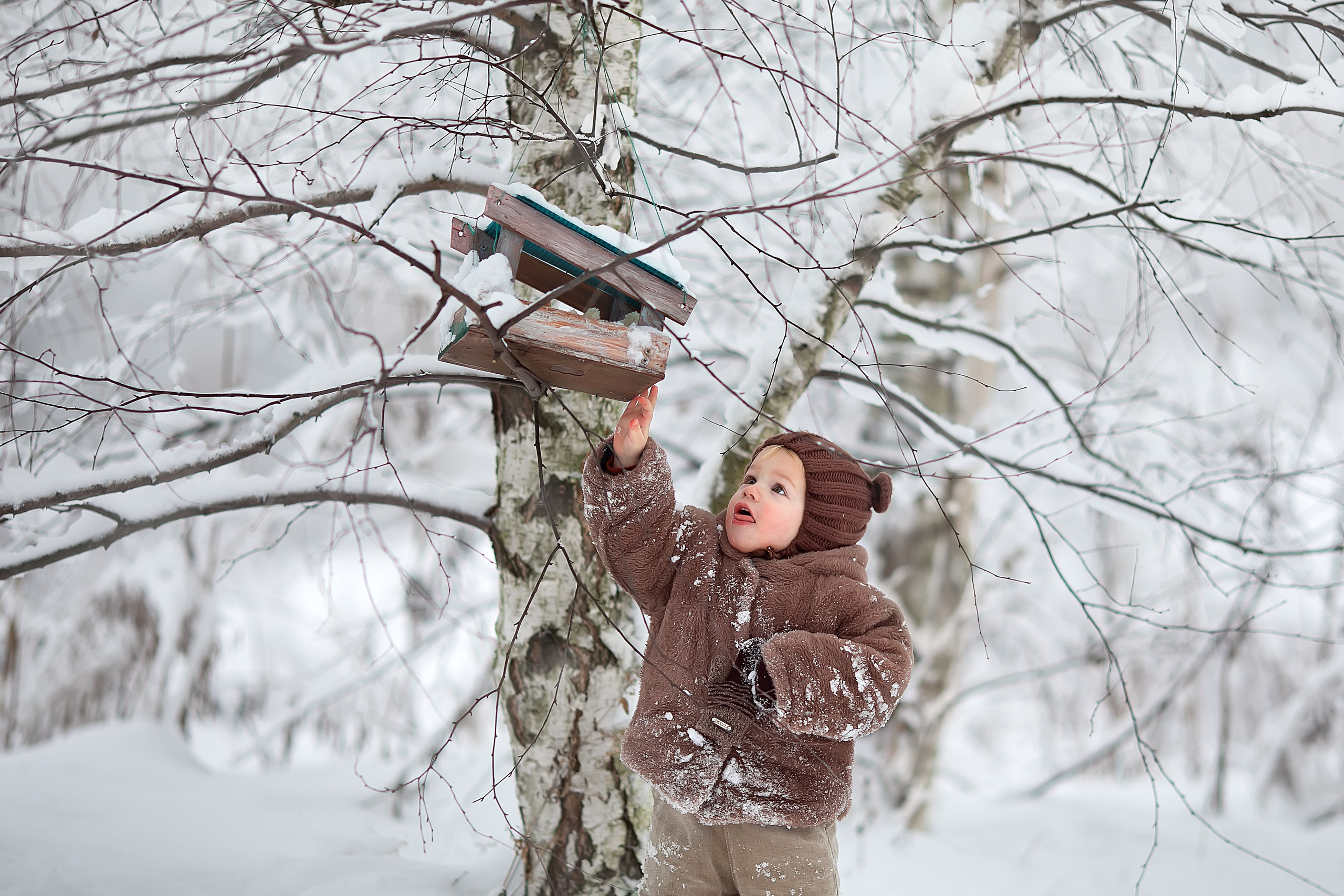 Волшебная зима. Главная