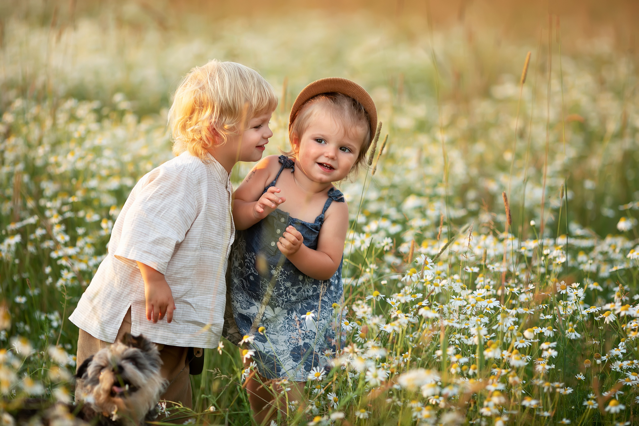 Колоски. Главная