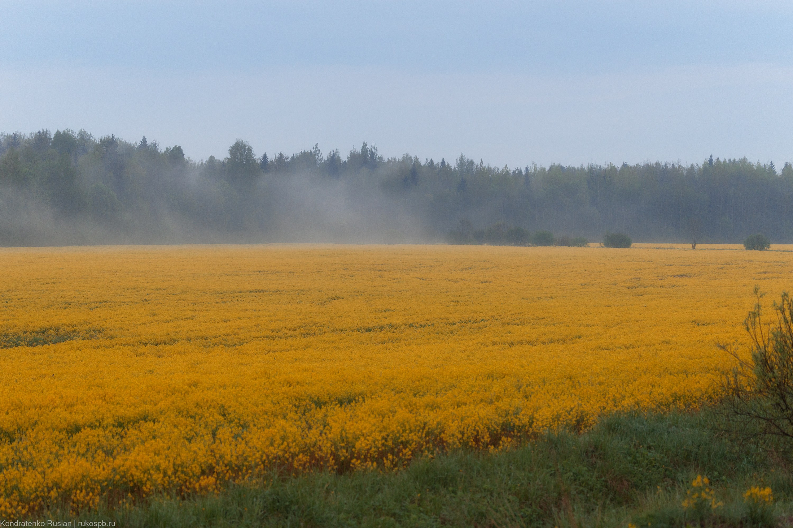 Ленинградская область. Архитектурный и пейзажный фотограф Кондратенко Руслан, Санкт-Петербург