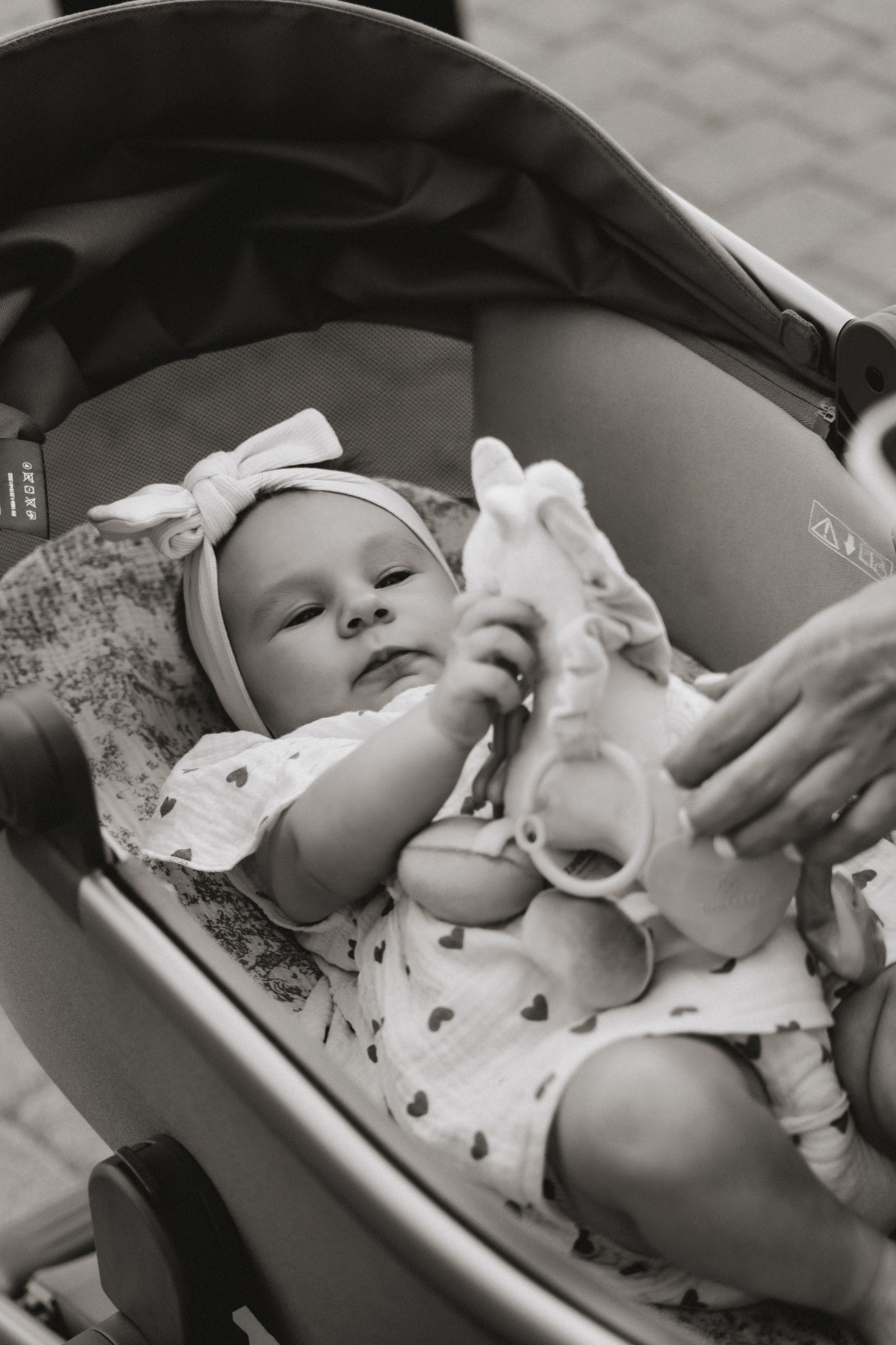 Екатерининская 5.08. Свадебный и семейный фотограф в Краснодаре Диана Смирнова