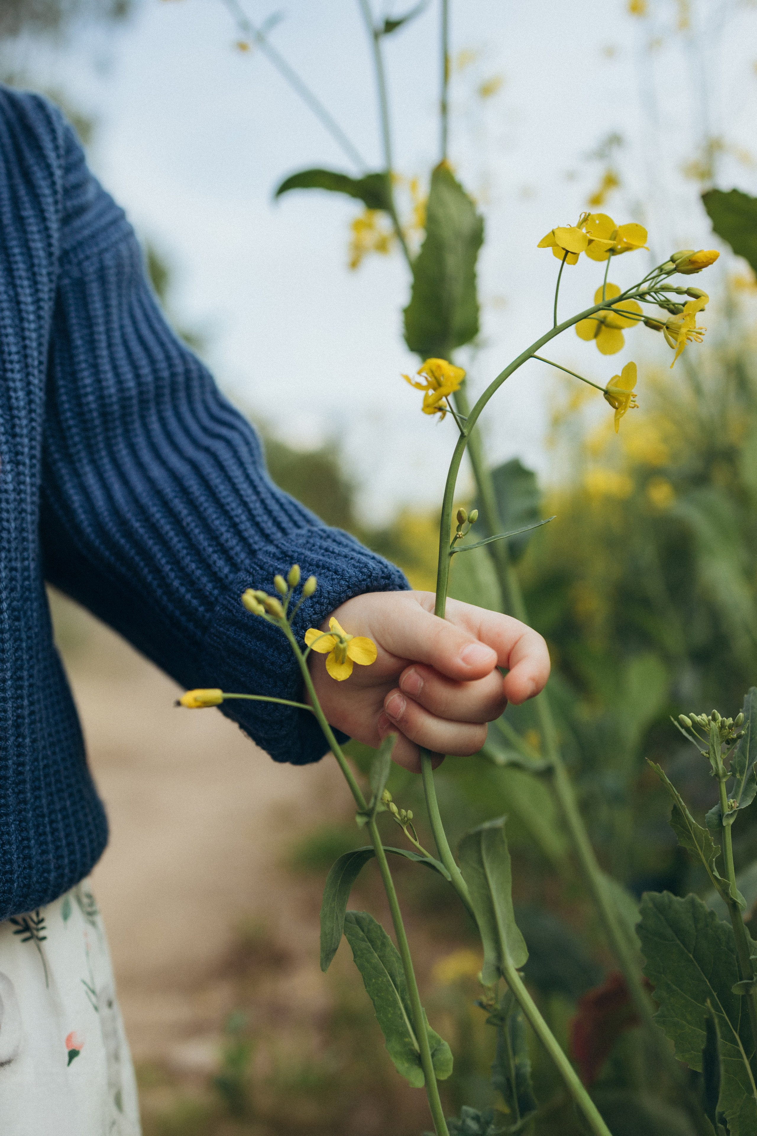 После дождя. Фотограф Елена Рябцева