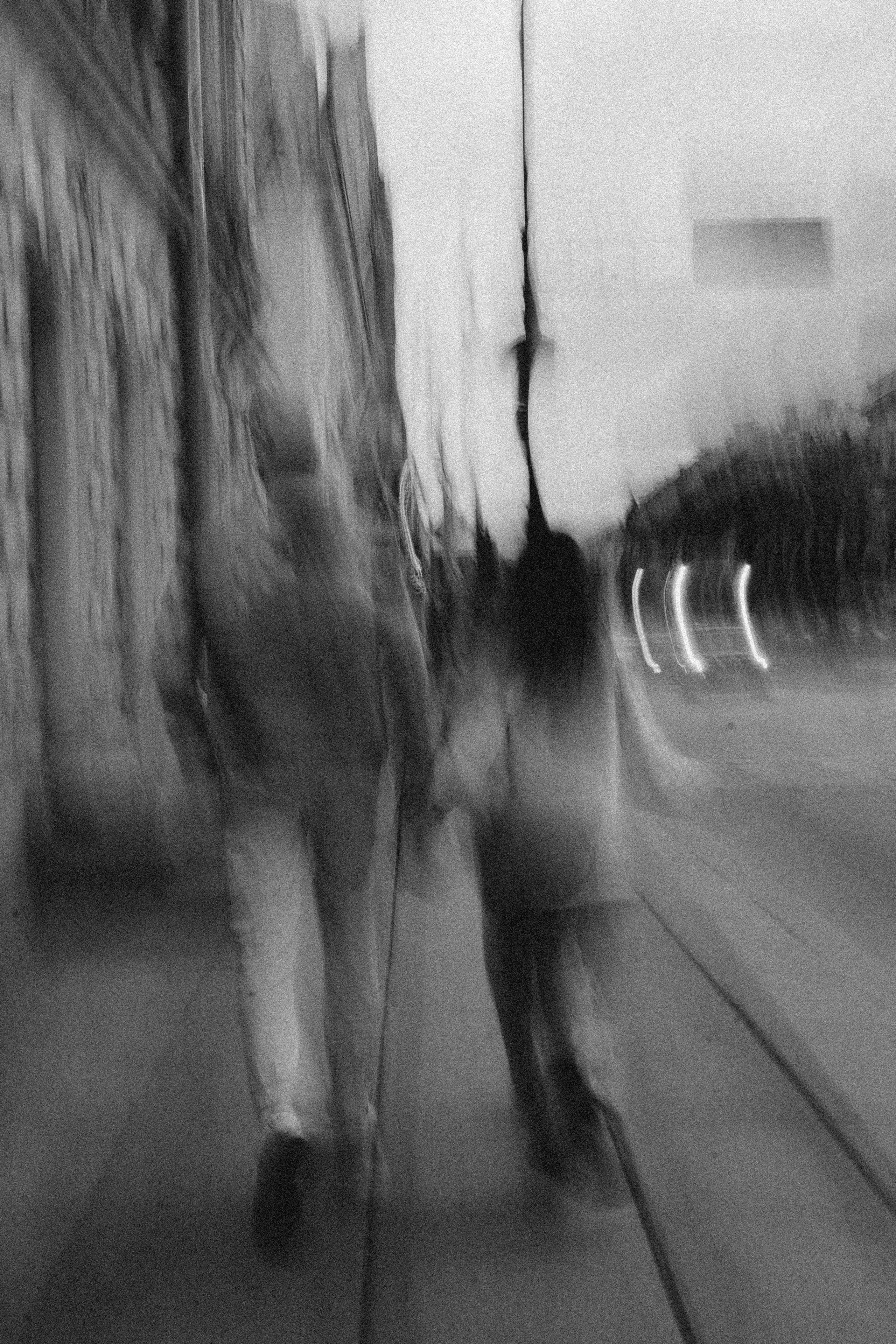 Прогулочная. Профессиональный фотограф, Санкт-Петербург — Виктория Богомолова