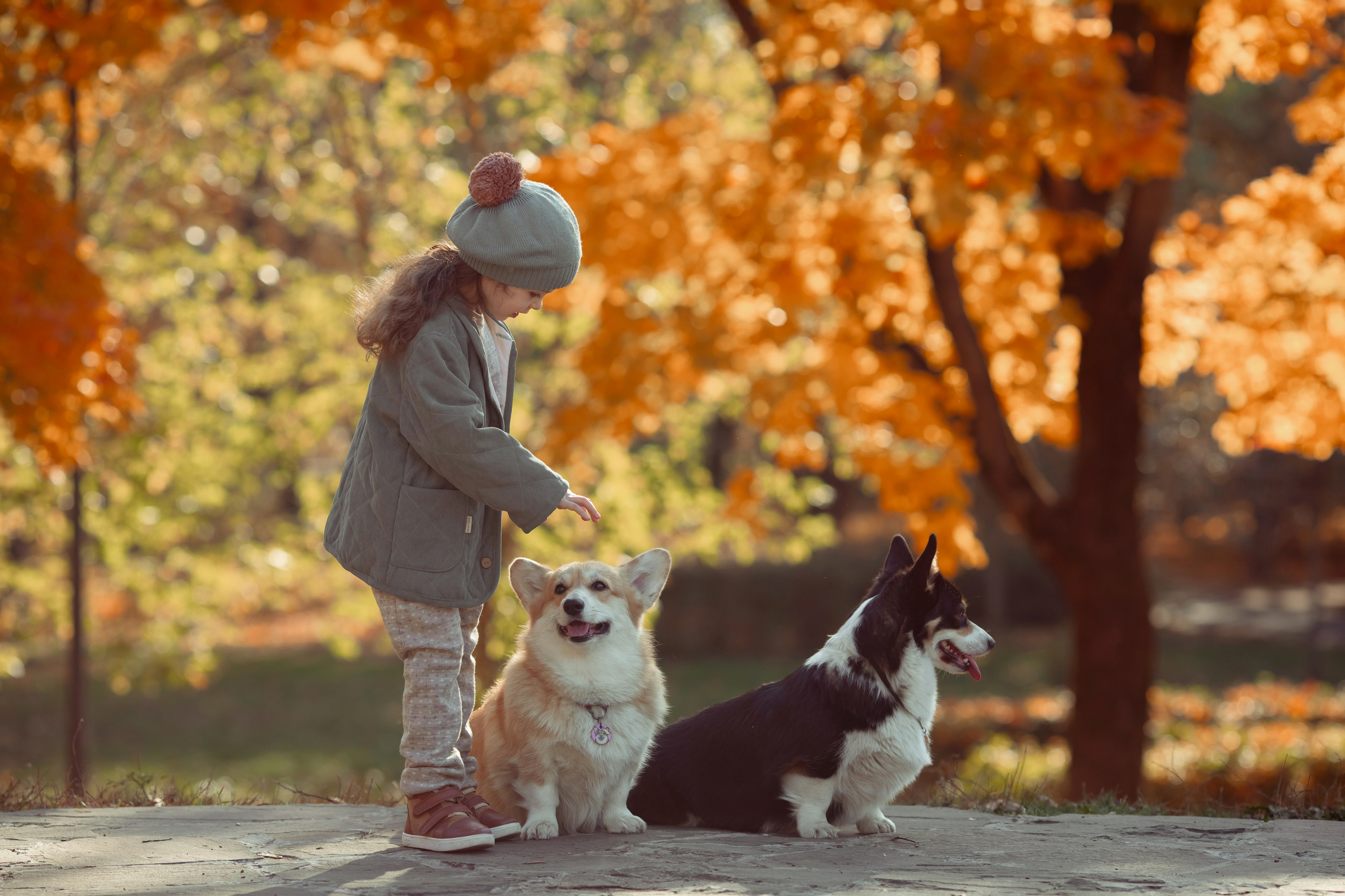 Эва с корги. Семейный и детский фотограф в Москве Дорогова Екатерина