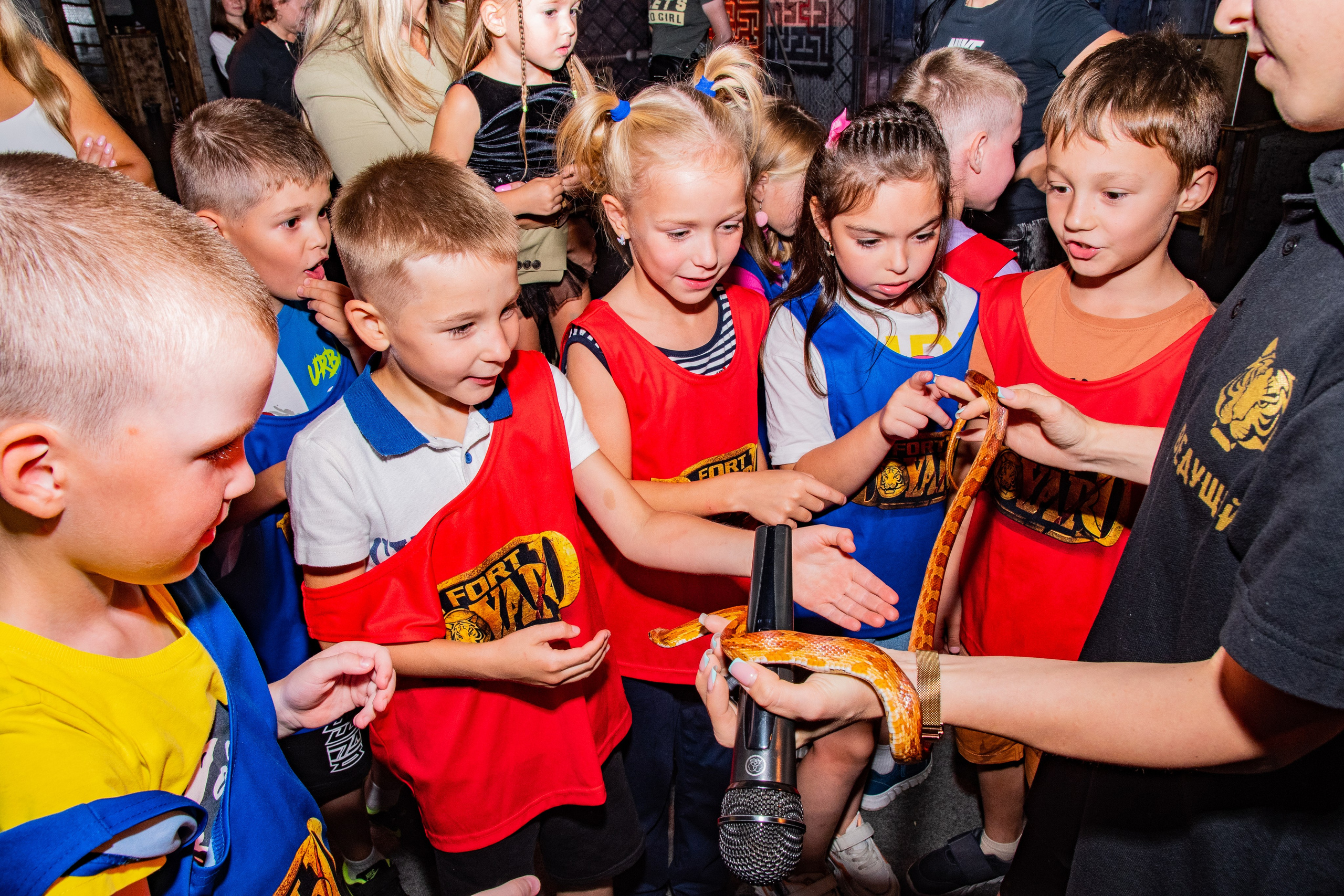 Форд Боярд. Фотограф Виктория Щербинина в Санкт-Петербурге и Москве