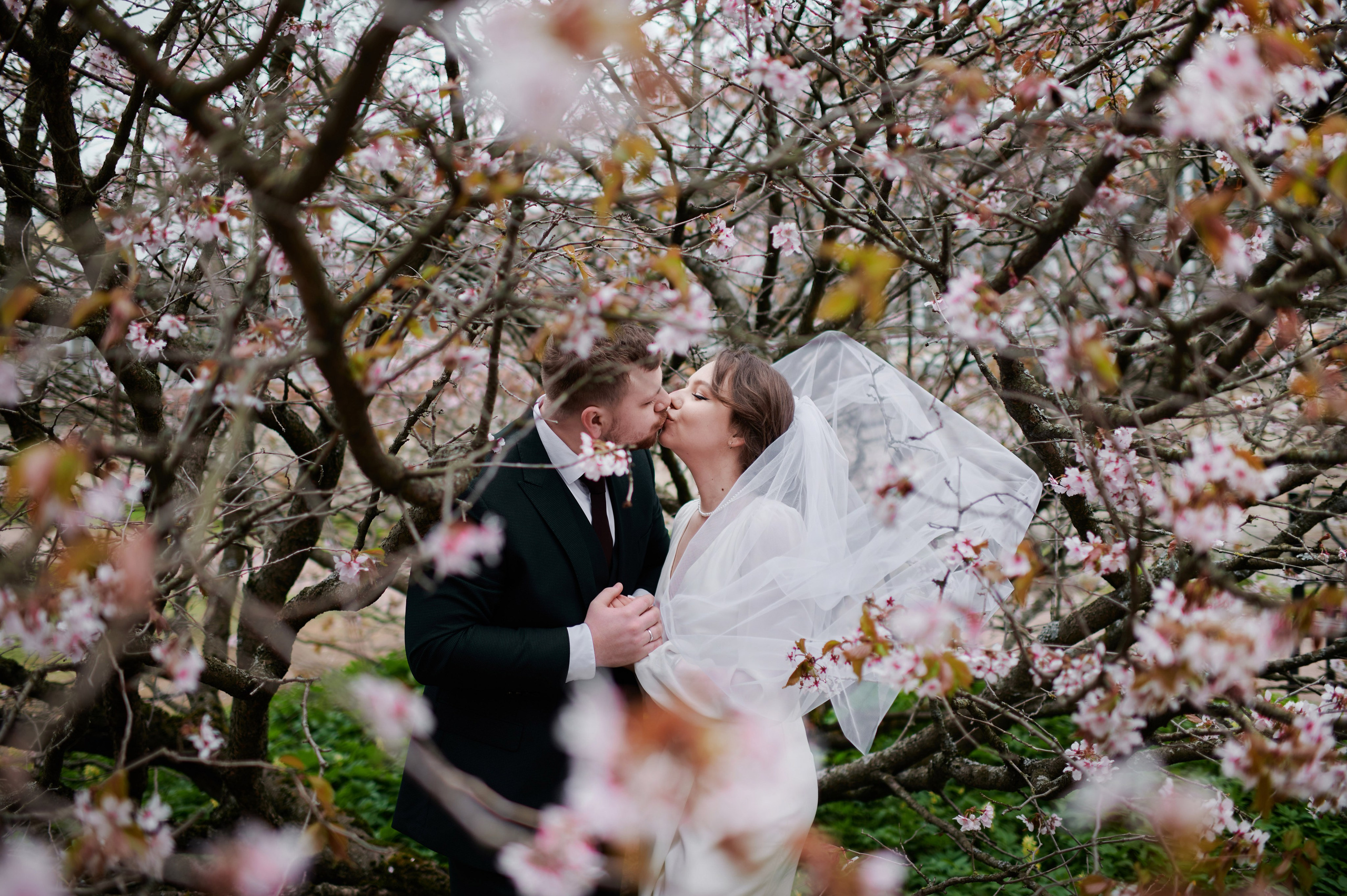 Ксения и Егор (фотосессия в ЗАГСе Петроградского района, Ботаническом саду с сакурой). Портретный, семейный и свадебный фотограф в Санкт-Петербурге и в Пушкине Ширяев Денис