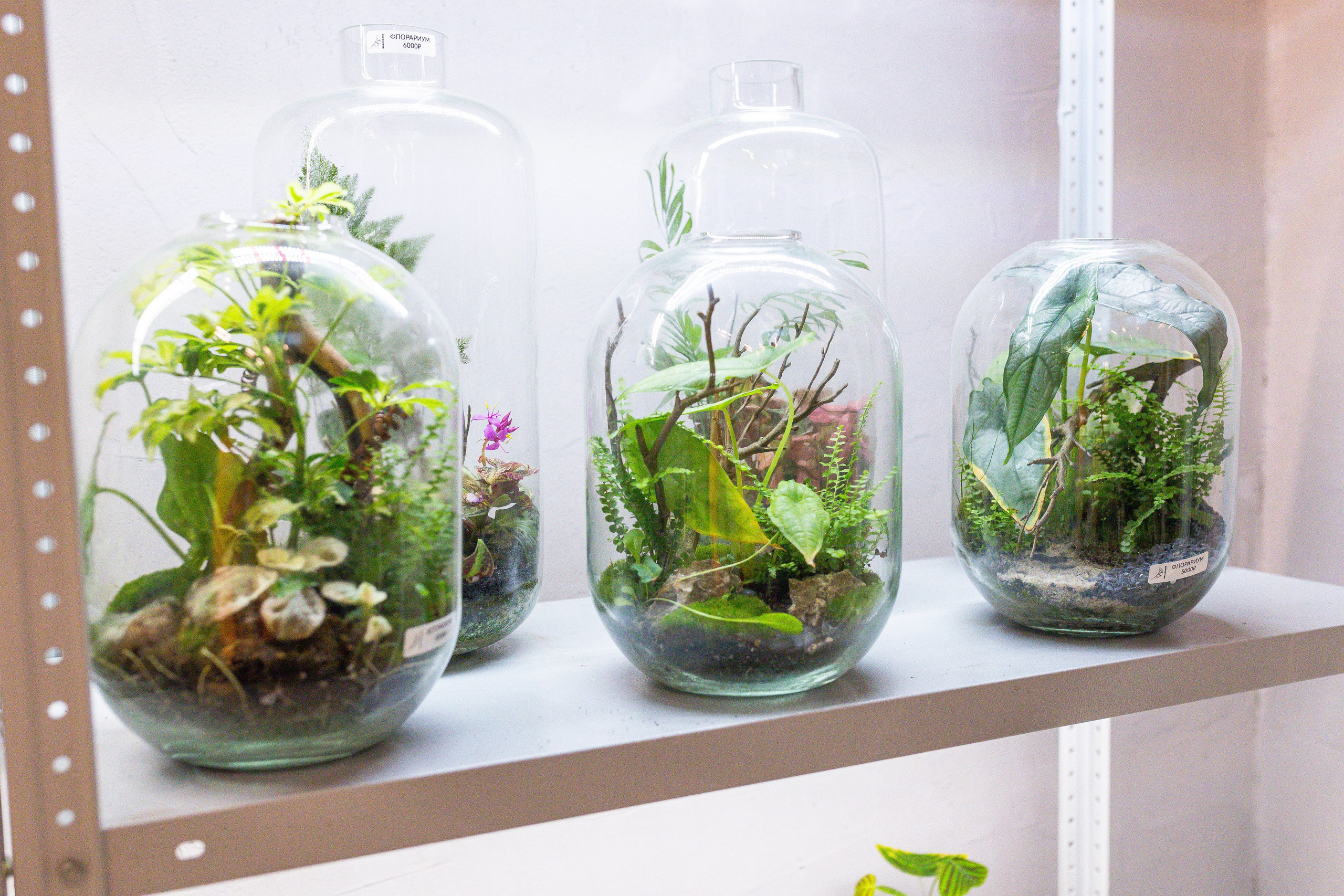 Ярмарка Green Rare 20.09.25. Александра Куликова фотограф, Москва