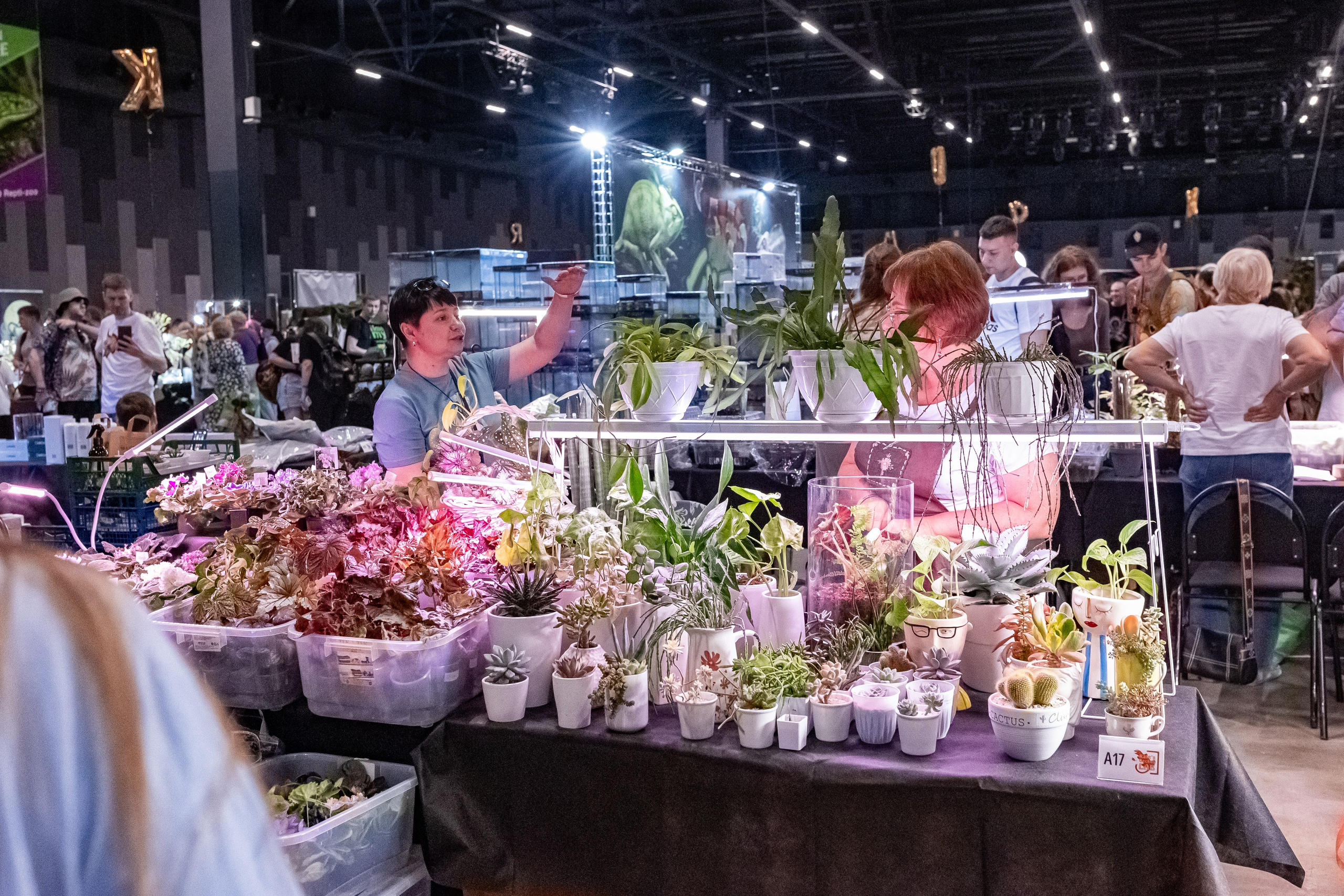 Рептилиум 2024. Александра Куликова фотограф, Москва