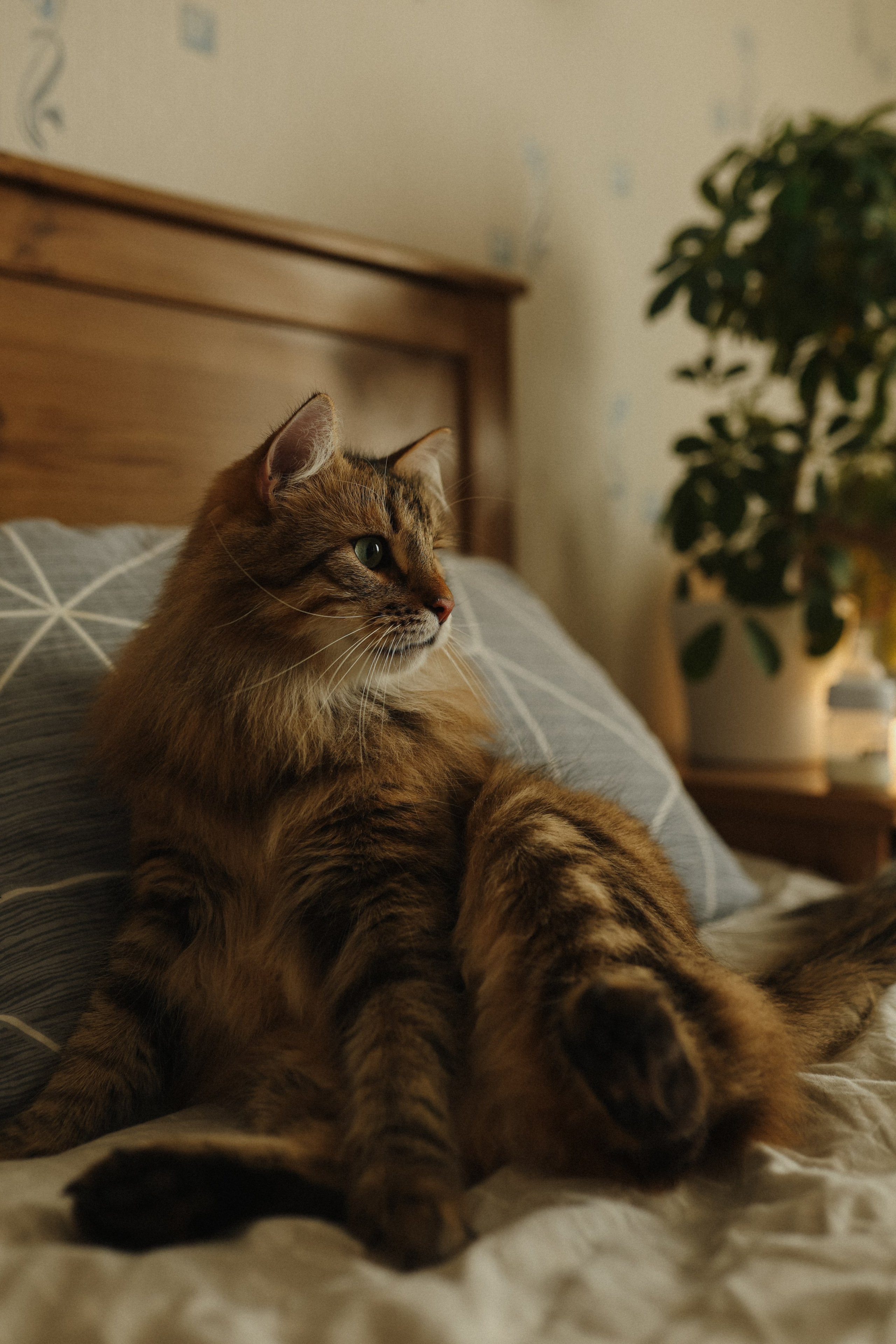 Леша🤍. Фотограф на роды в Санкт-Петербурге, семейный, нью-борн Алиса Хрекова