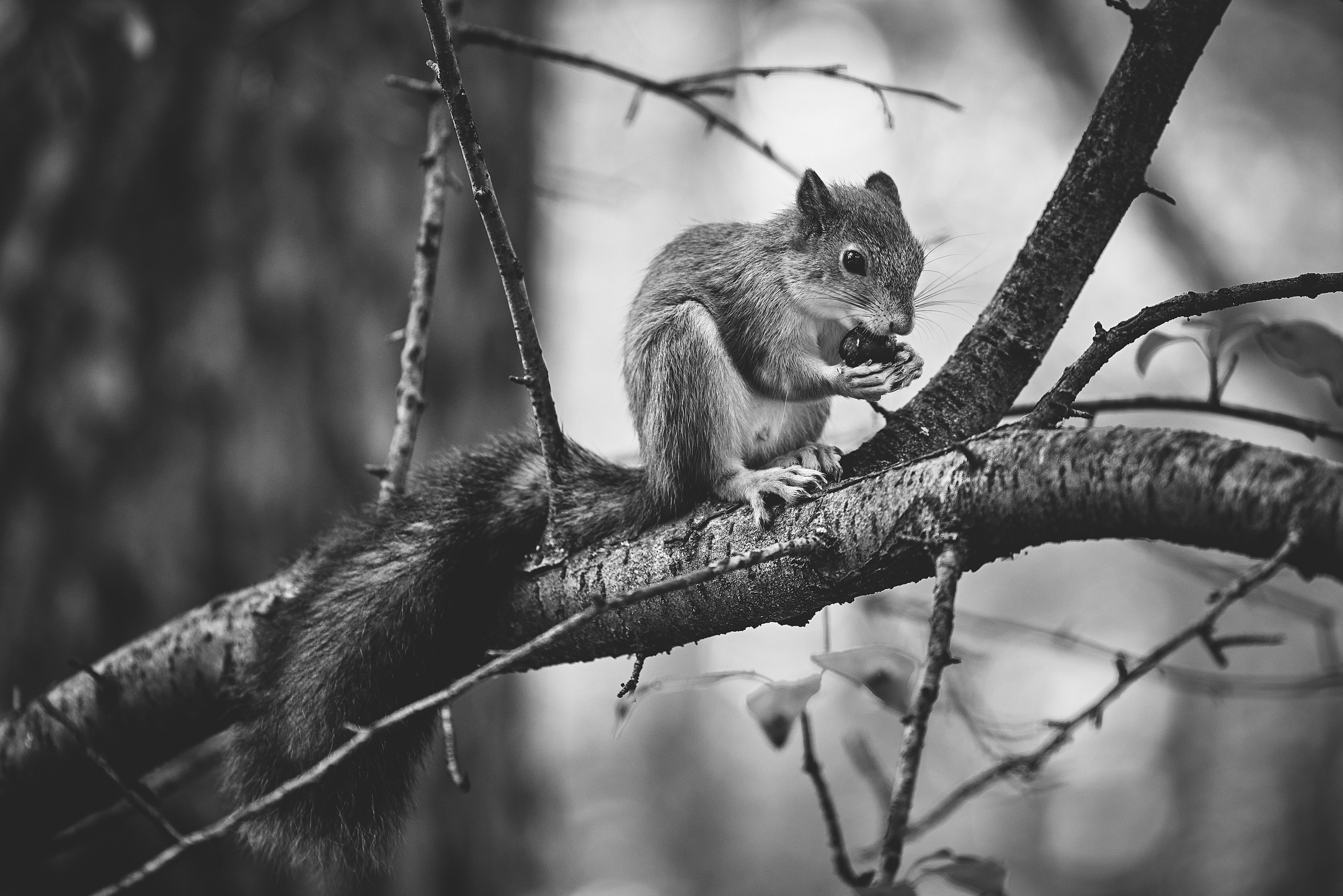 Фотосессии на природе. Фотограф в Екатеринбурге Александр Морозов