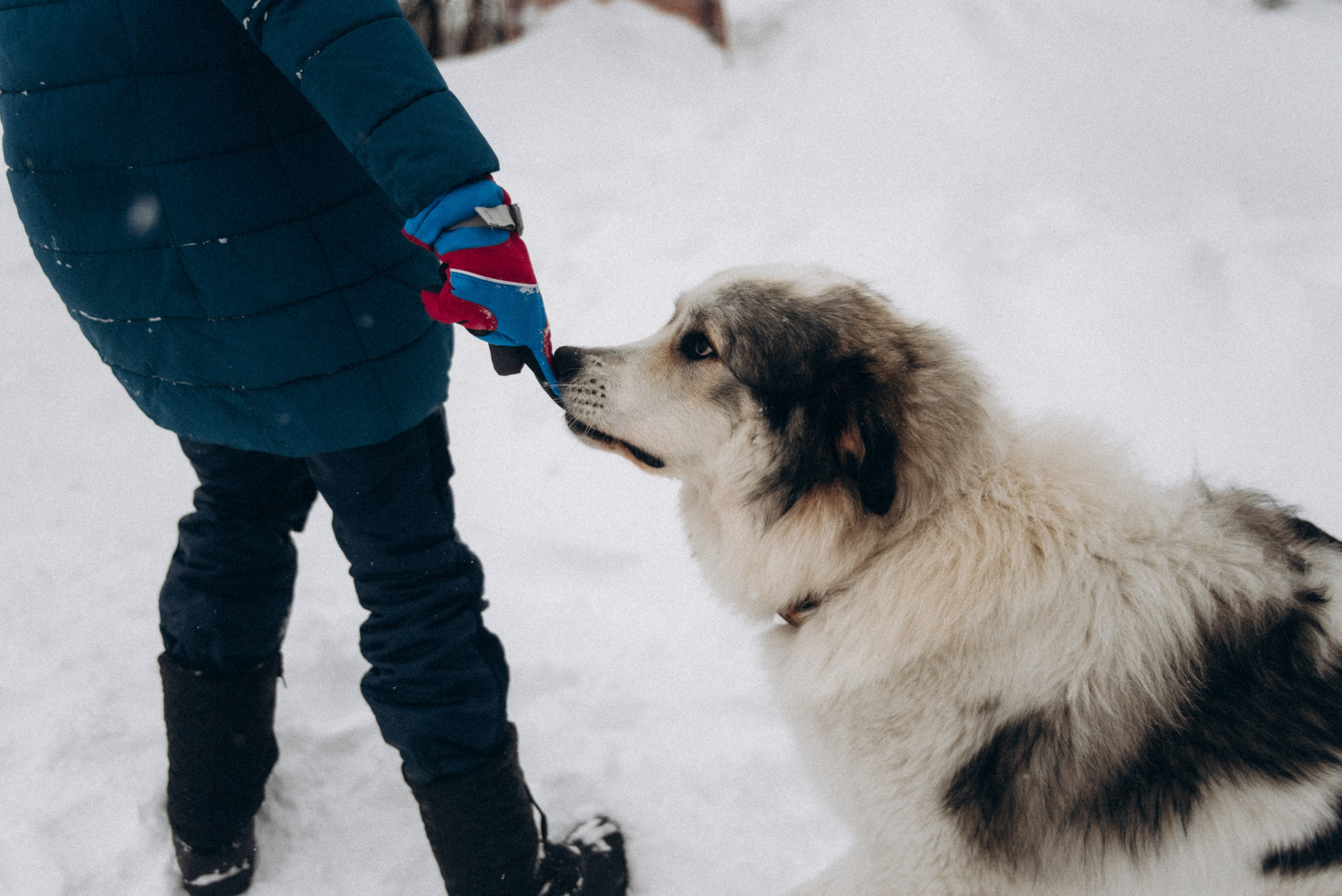 Териберка, Мурманск, Россия 🇷🇺. Anita_photo