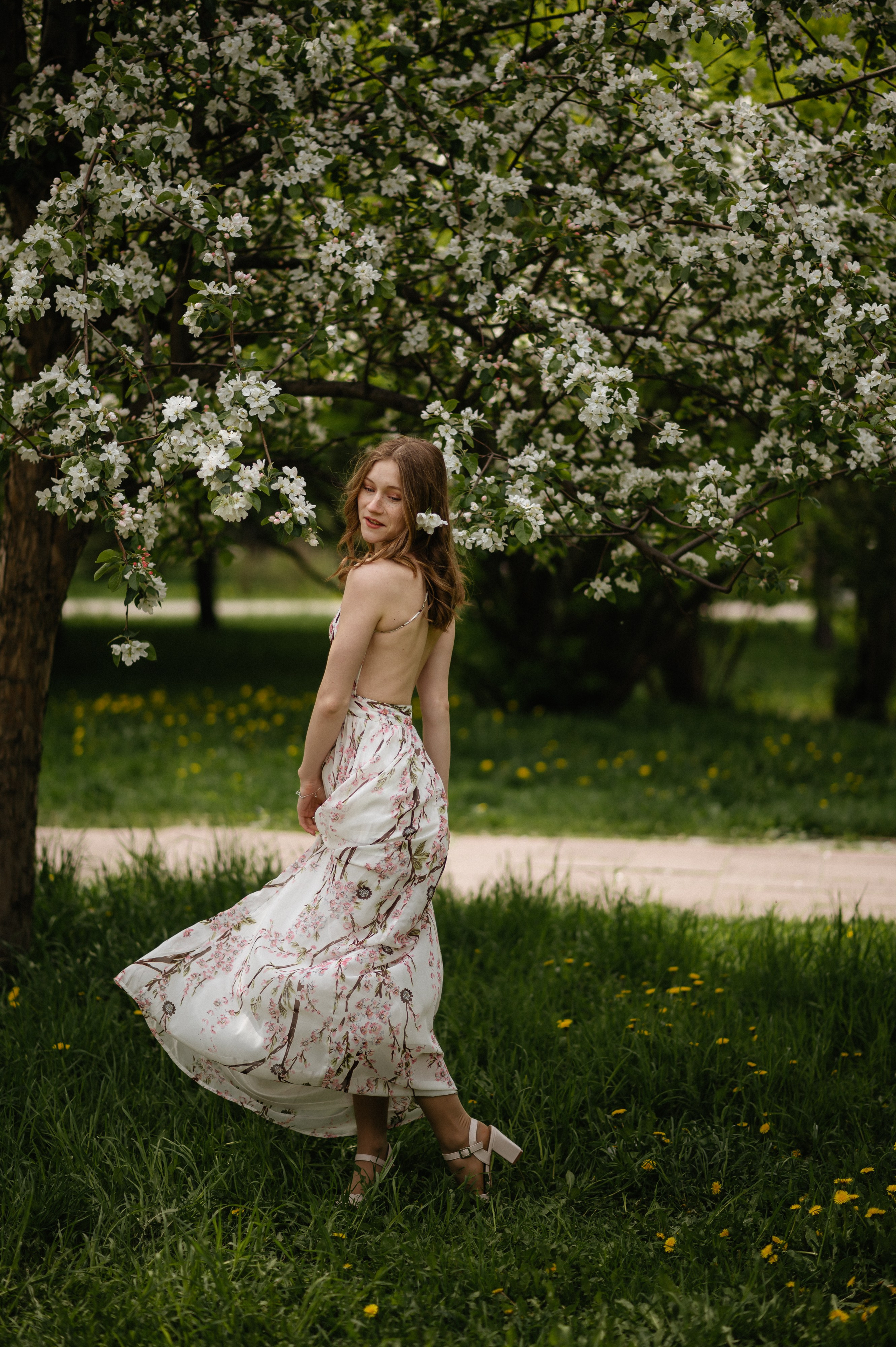 Ксюша, цветение. Главная