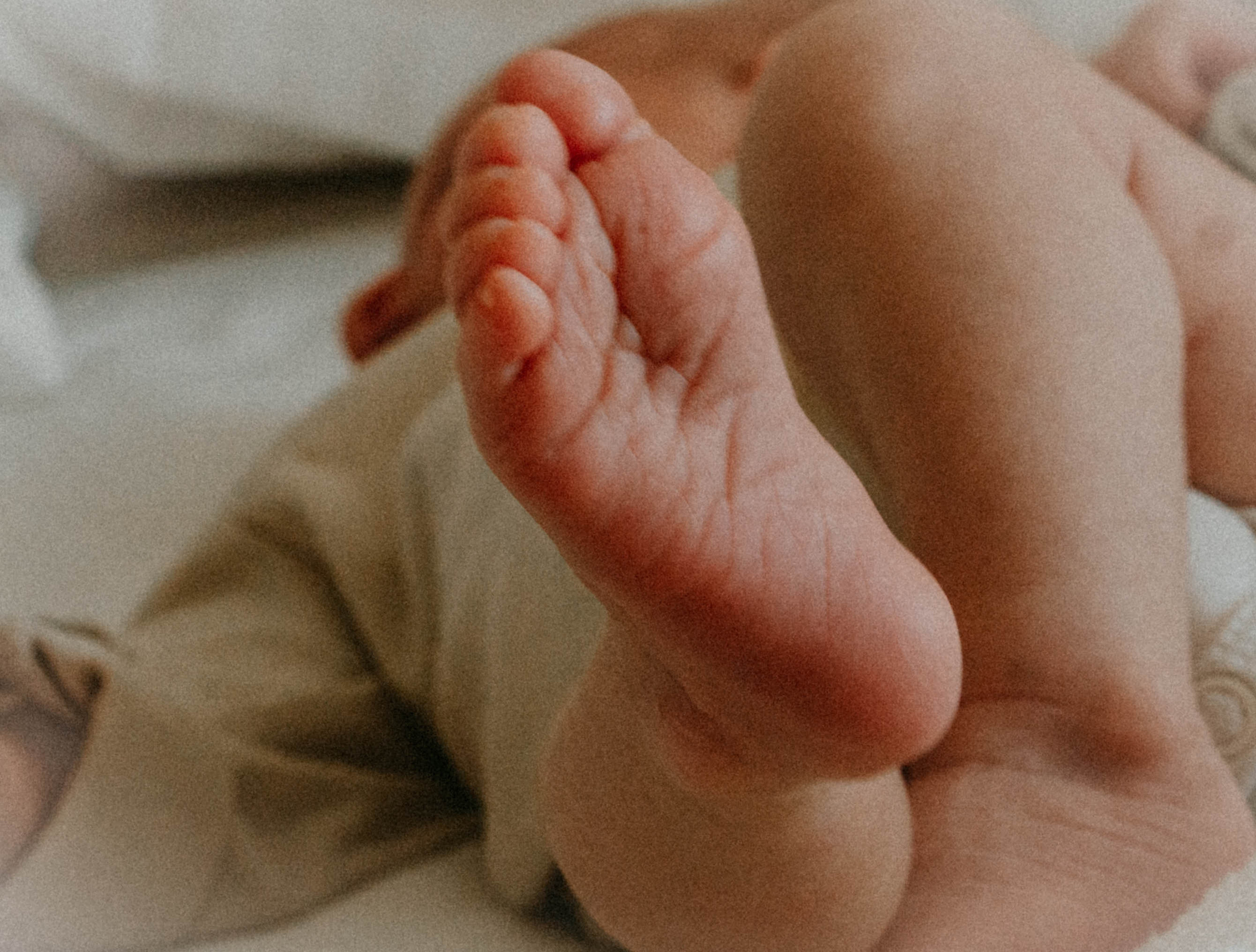 Victoria. Семейный и детский фотограф в Санкт-Петербурге