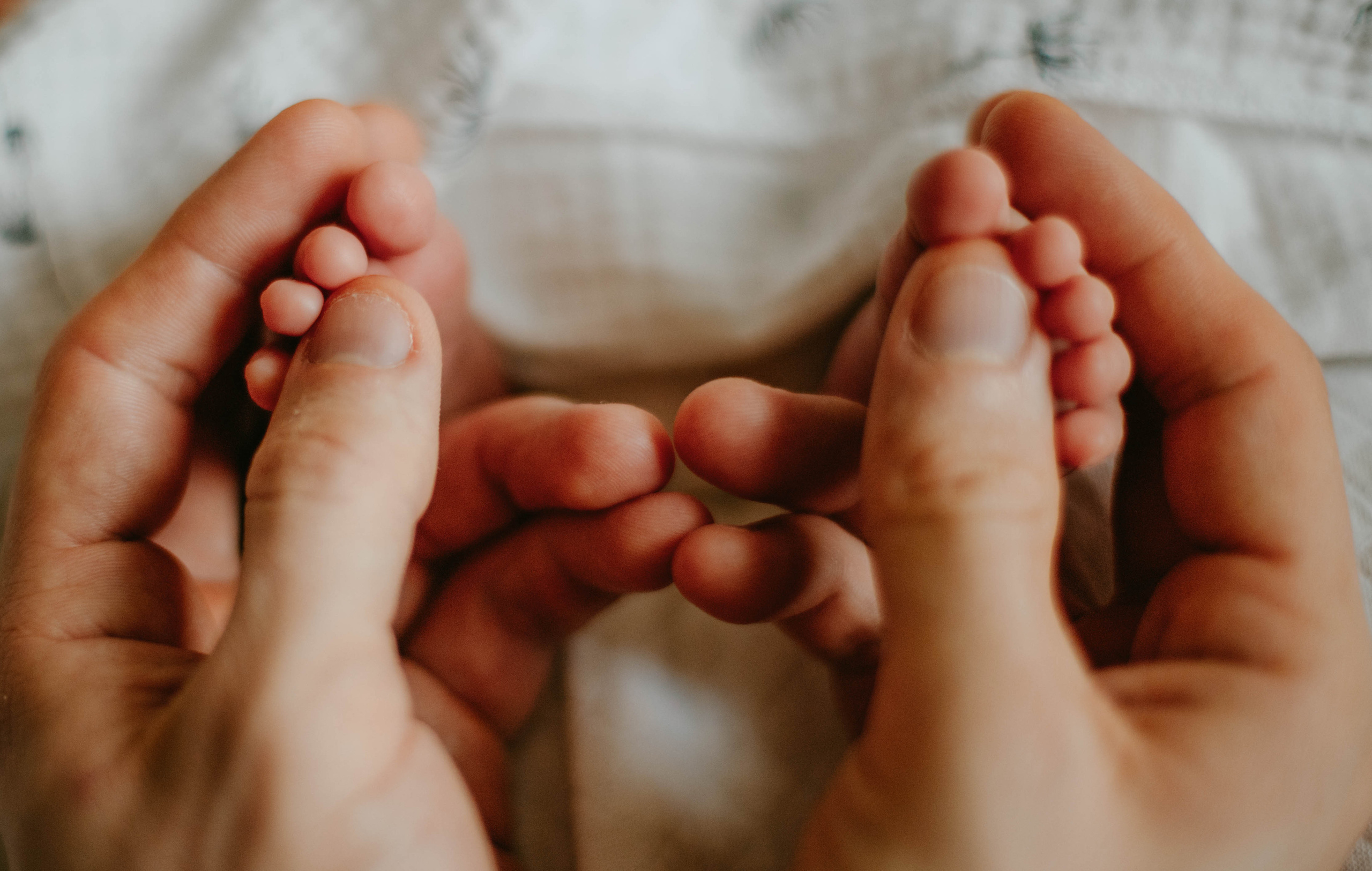 Услуги. Семейный и детский фотограф в Санкт-Петербурге