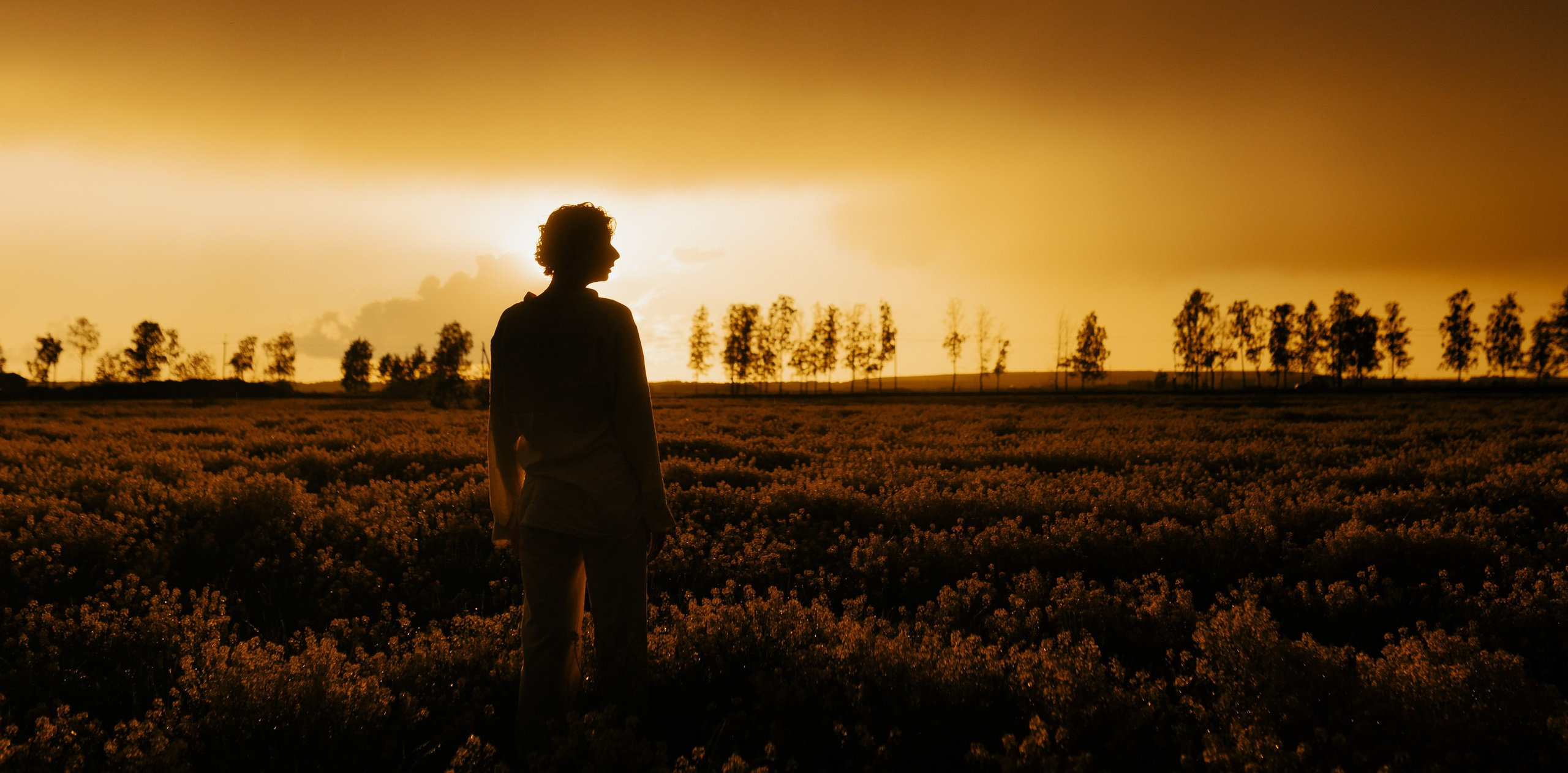 Beyond the line (colour). Metelevphoto