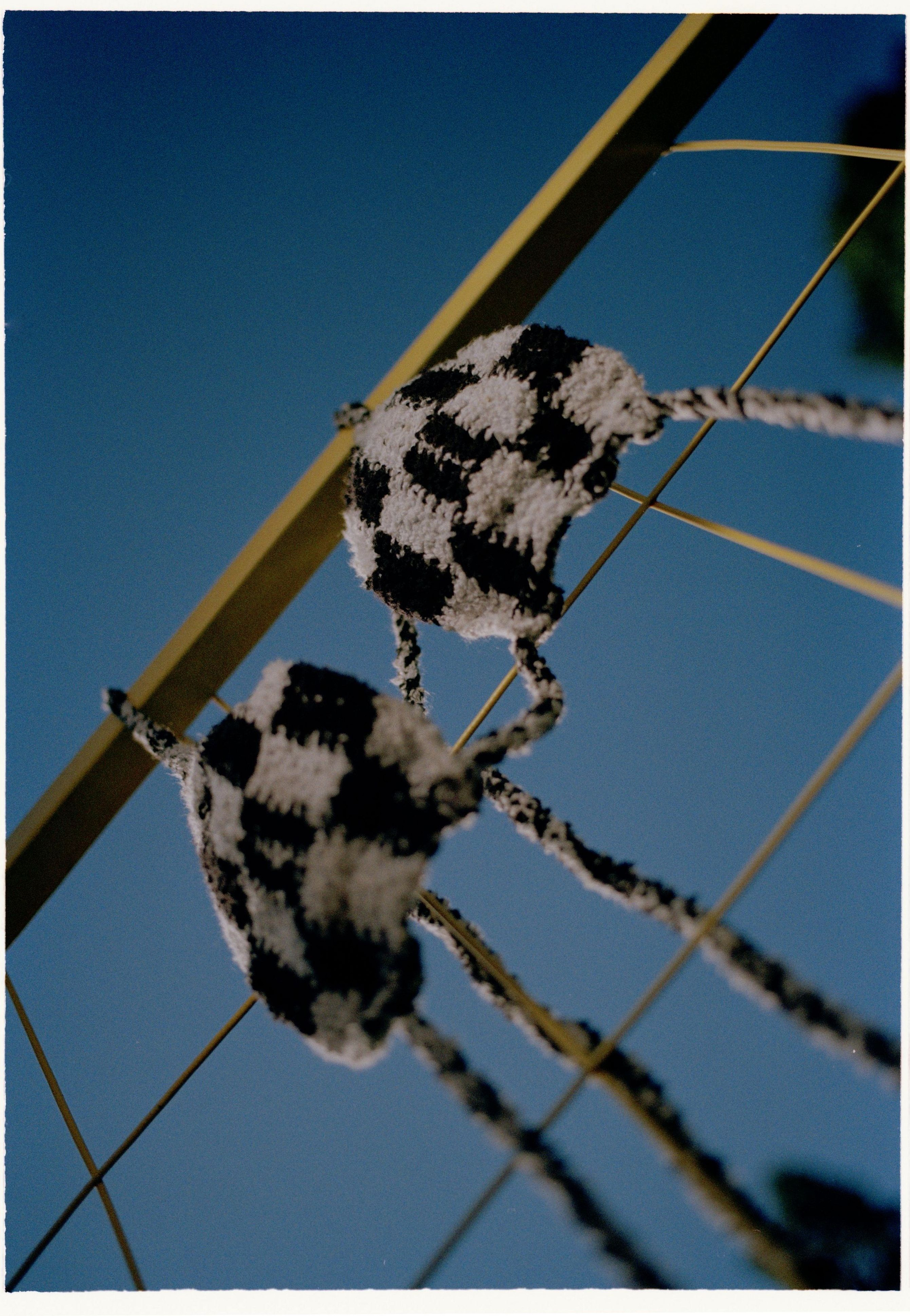 JACOB CRO. Илья Симонов фотограф москва