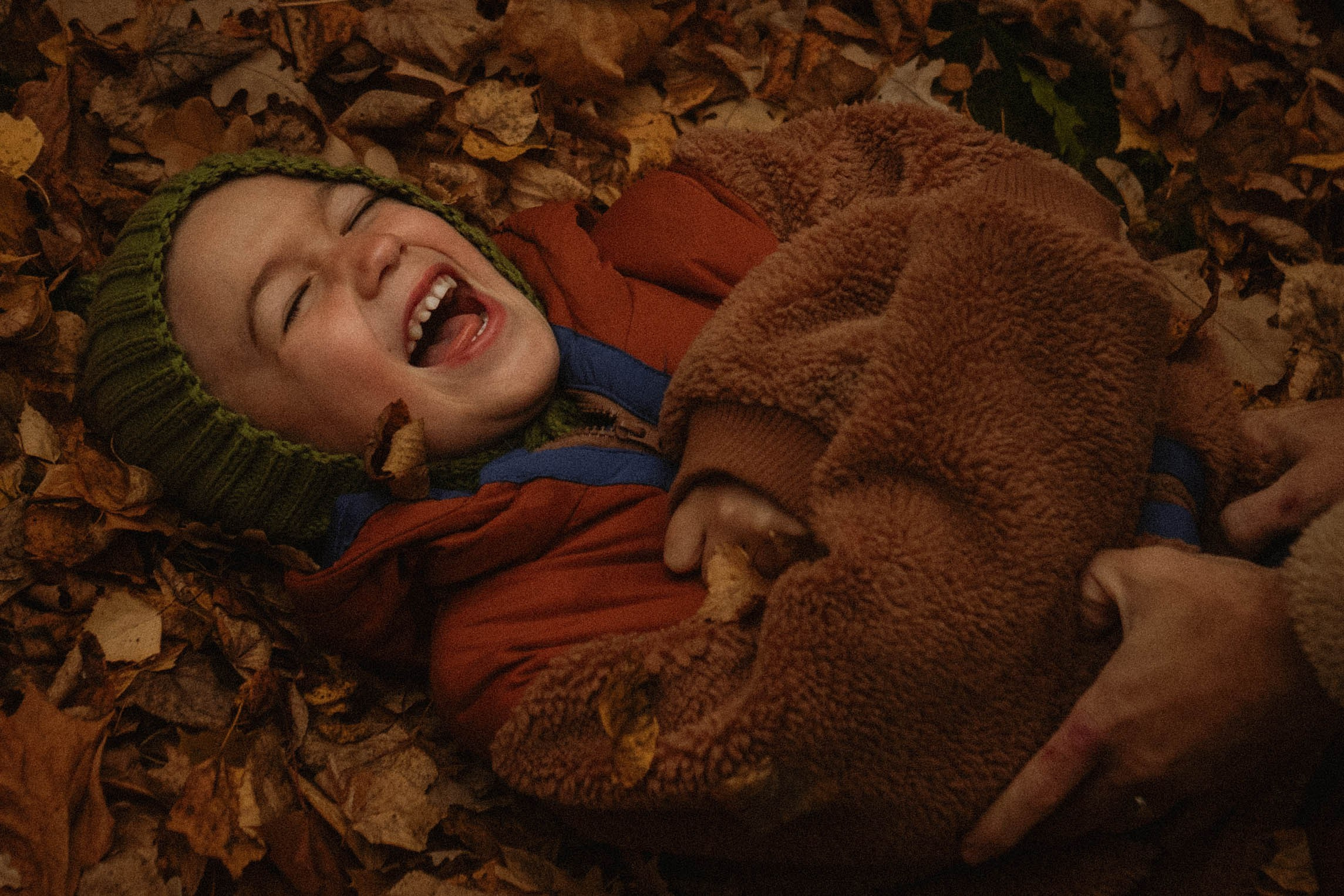 Семейный фотограф Юлия Котова