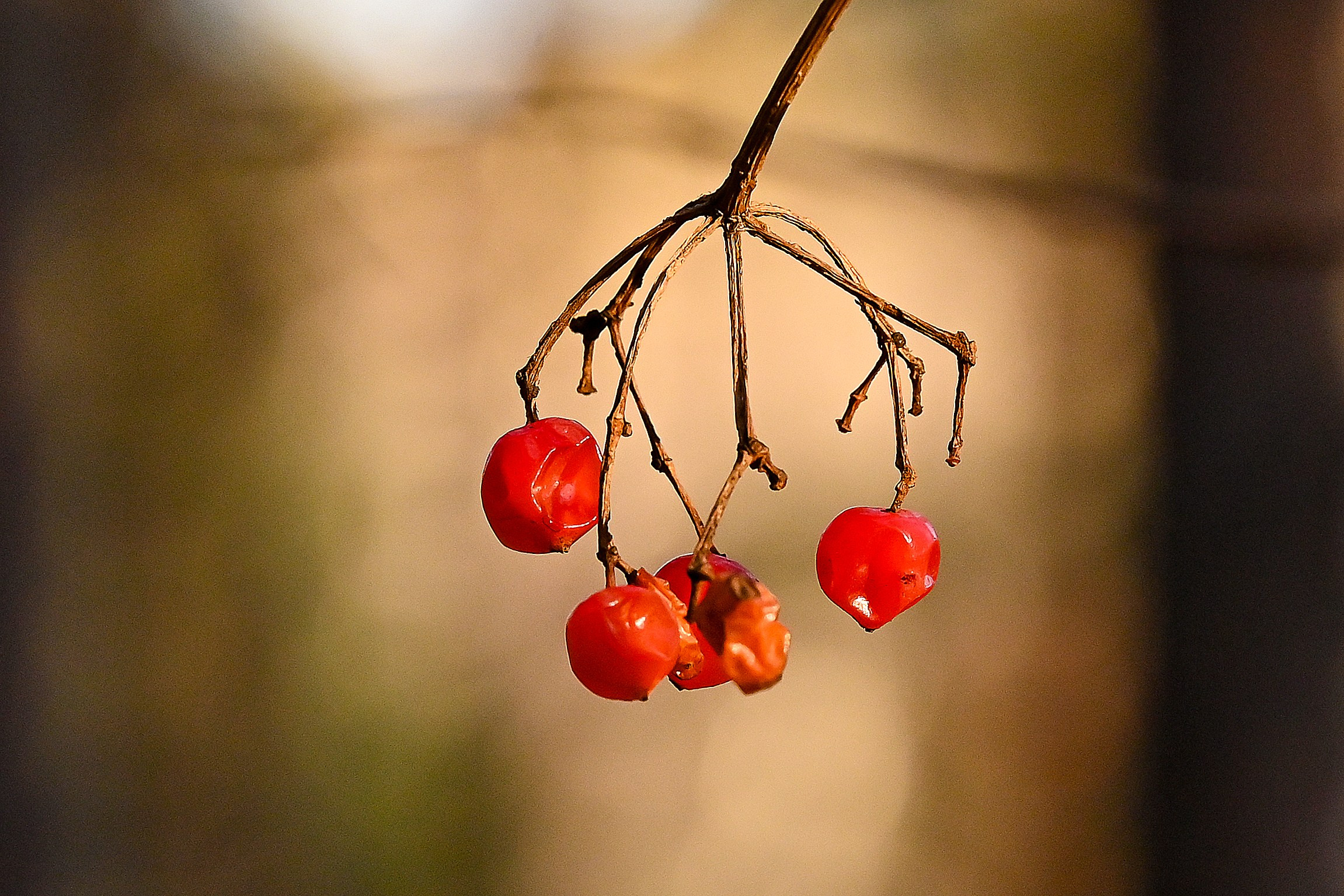 Осень. FotoGraf