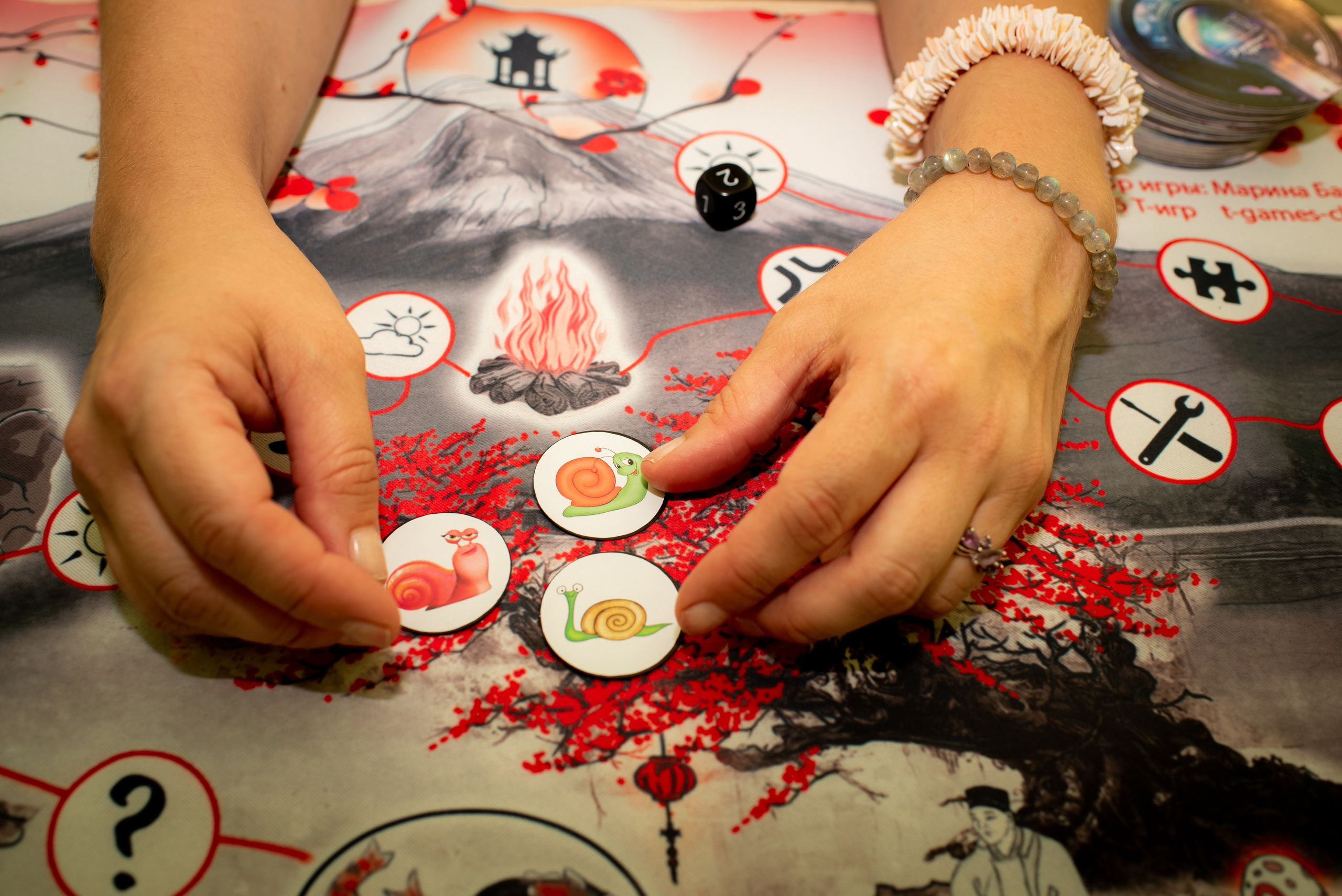 Репортажи, мастер-классы. Фотограф из Санкт-Петербурга Светлана Соколова