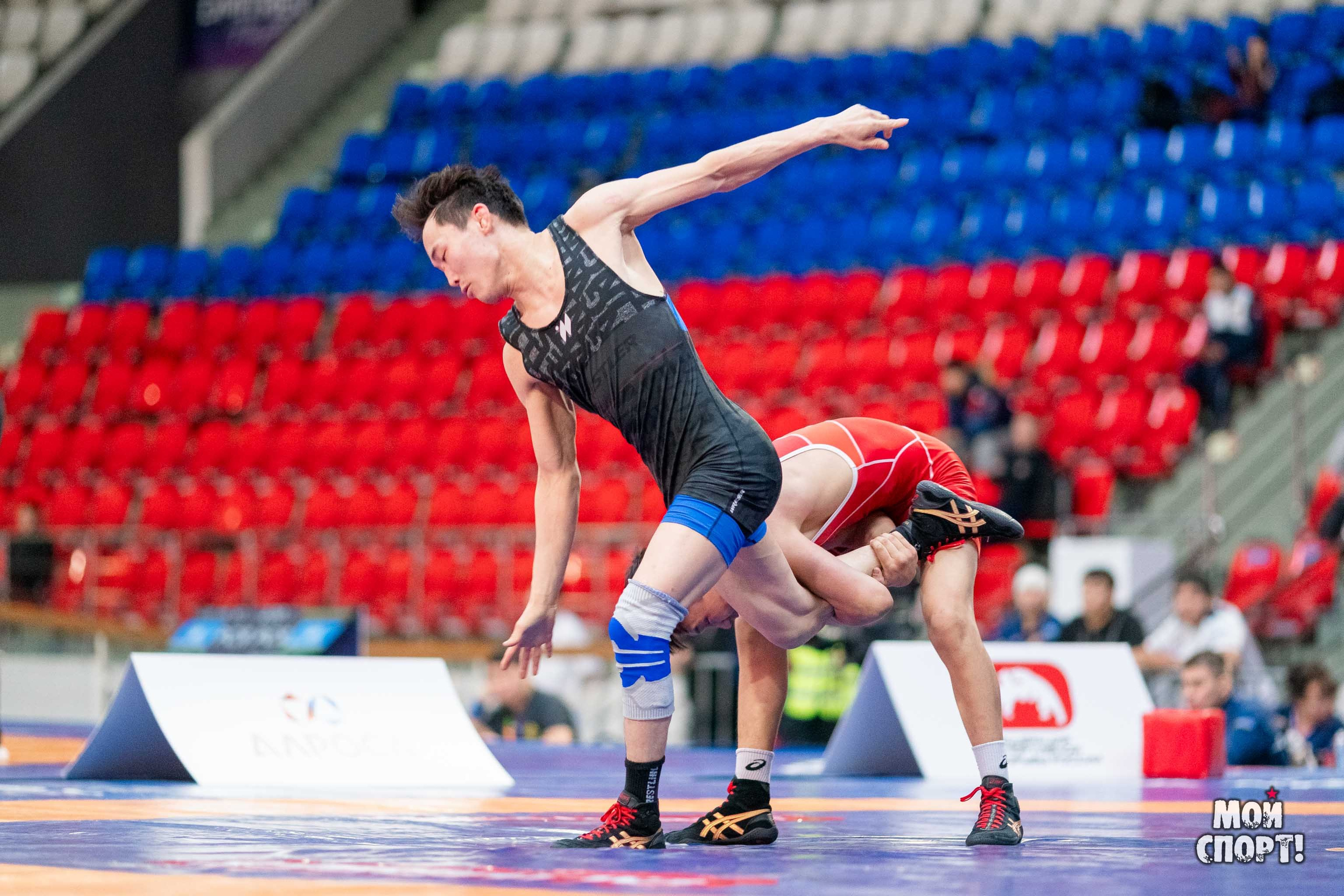 XII Международные соревнования по спортивной борьбе пам. Р. М. Дмитриева. Студия «Мой Спорт!» — все о спорте в Якутии