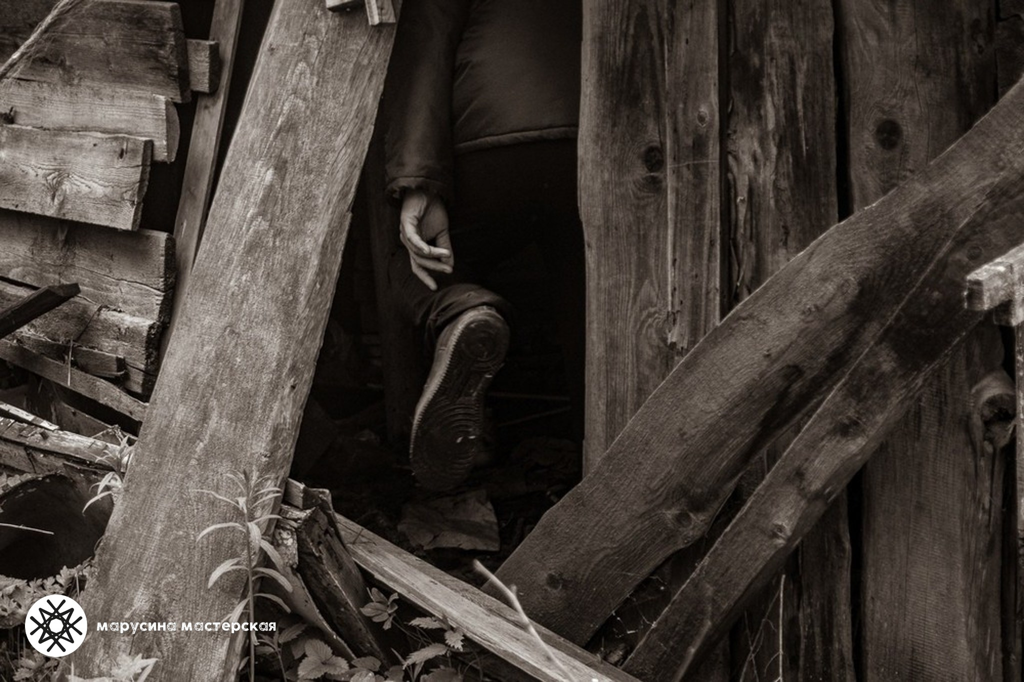 Художественная фотография участницы практикума по композиции