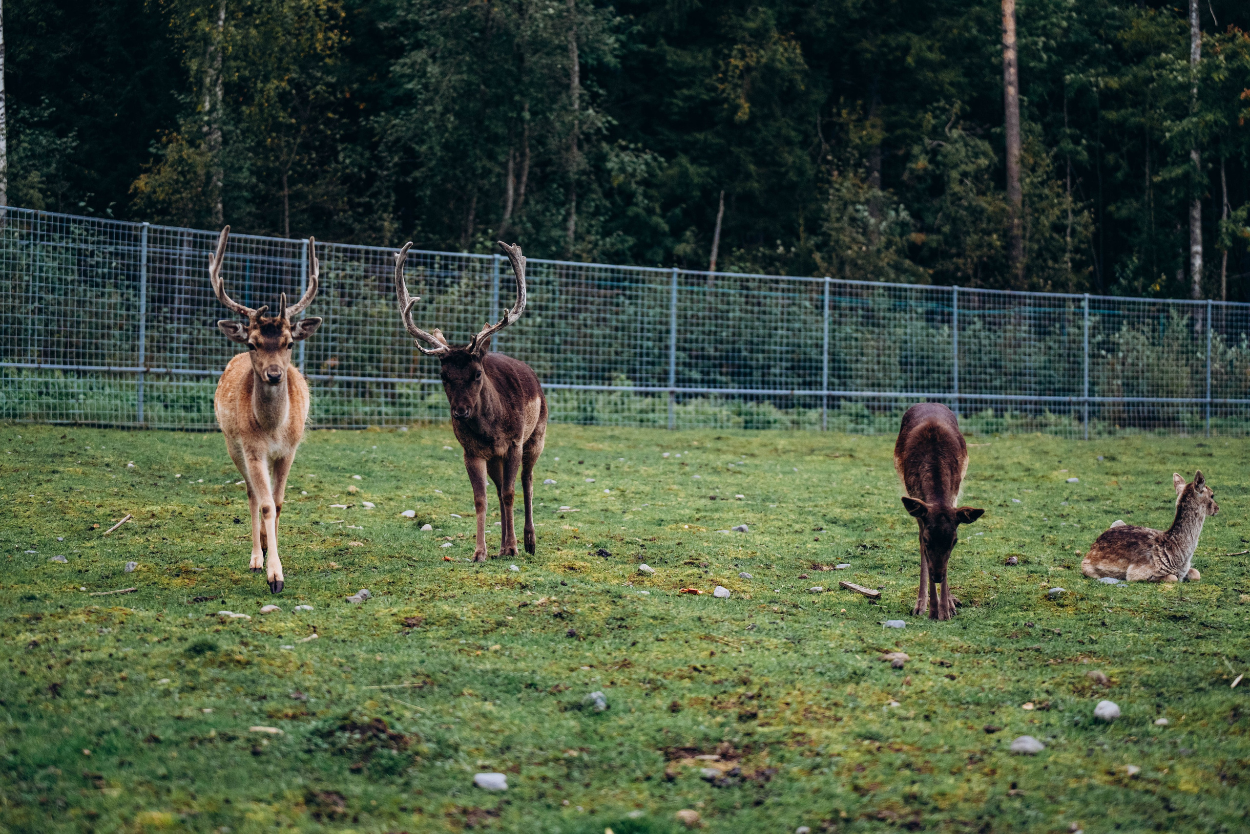 СЕВЕР. Event фотограф Степанова Александра