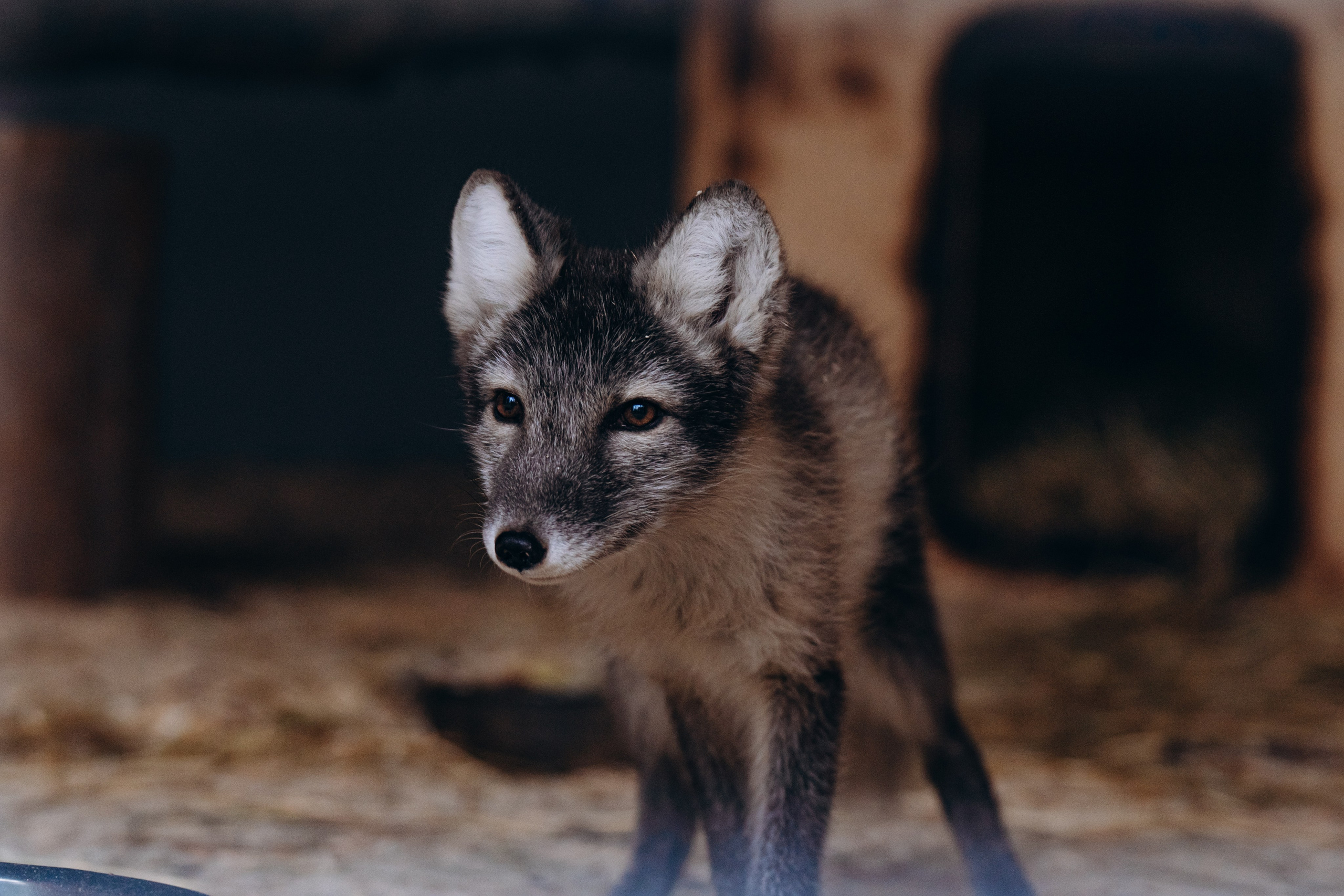 СЕВЕР. Event фотограф Степанова Александра