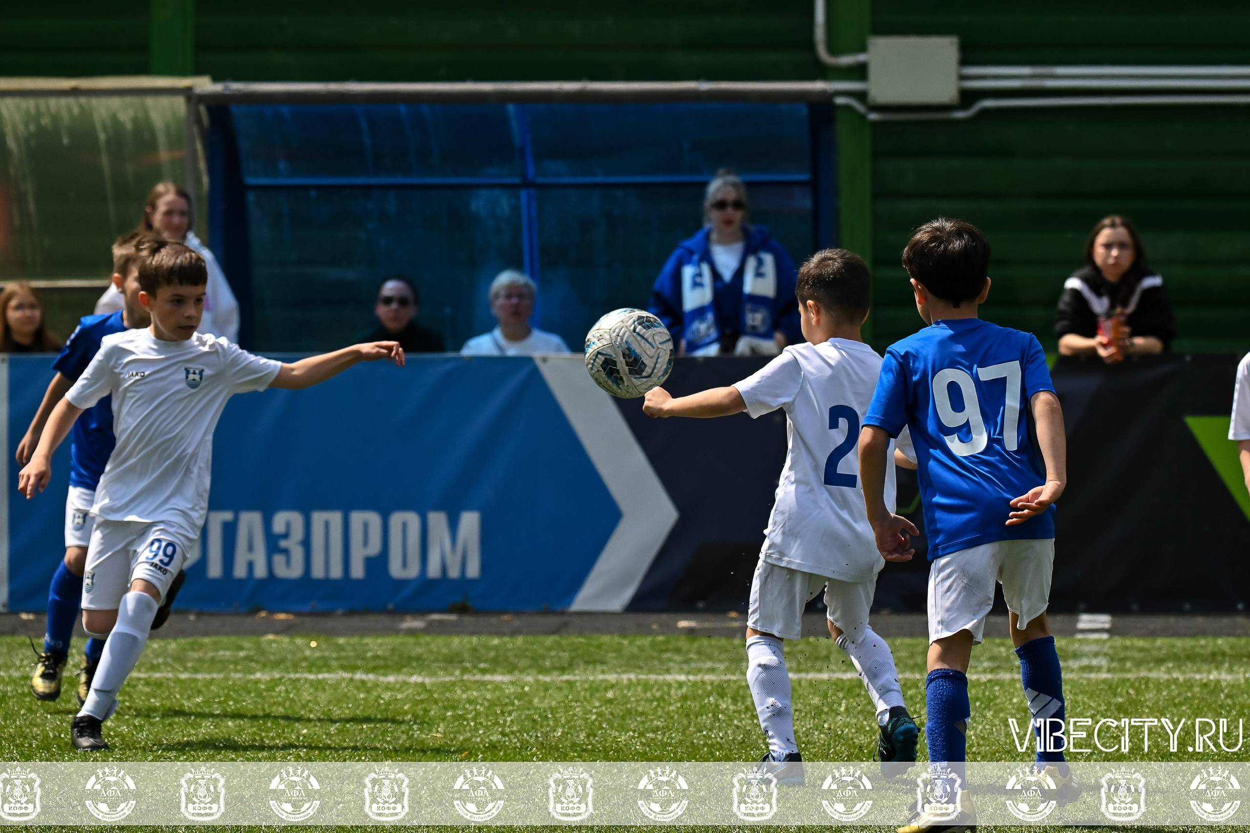 Большие Звезды светят Малым. VIBECITY.RU Вайб Сити Ру Фоторепортажи Фотоотчеты Калининград