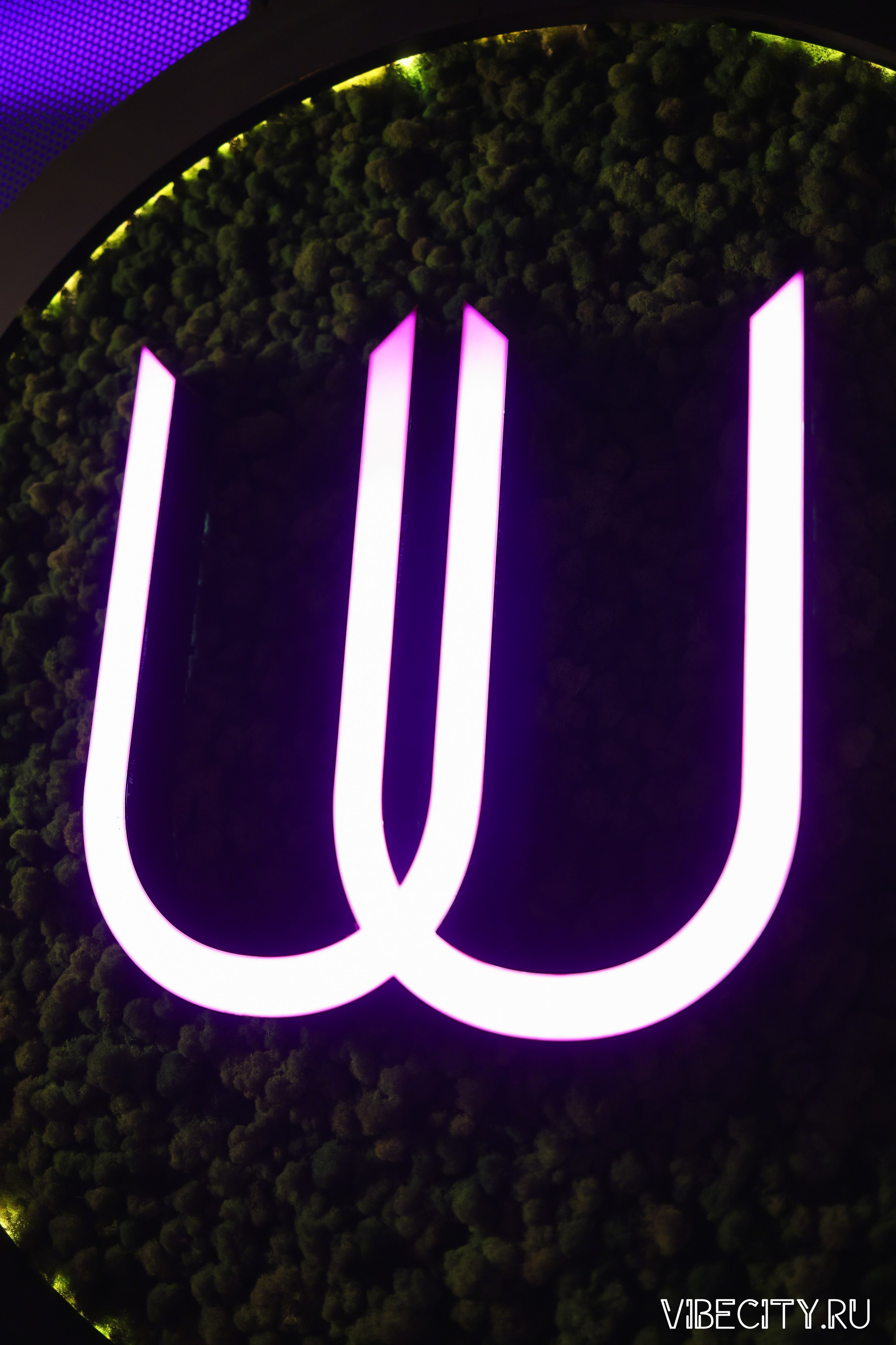 DOUBLE U. VIBECITY.RU Вайб Сити Ру Фоторепортажи Фотоотчеты Калининград