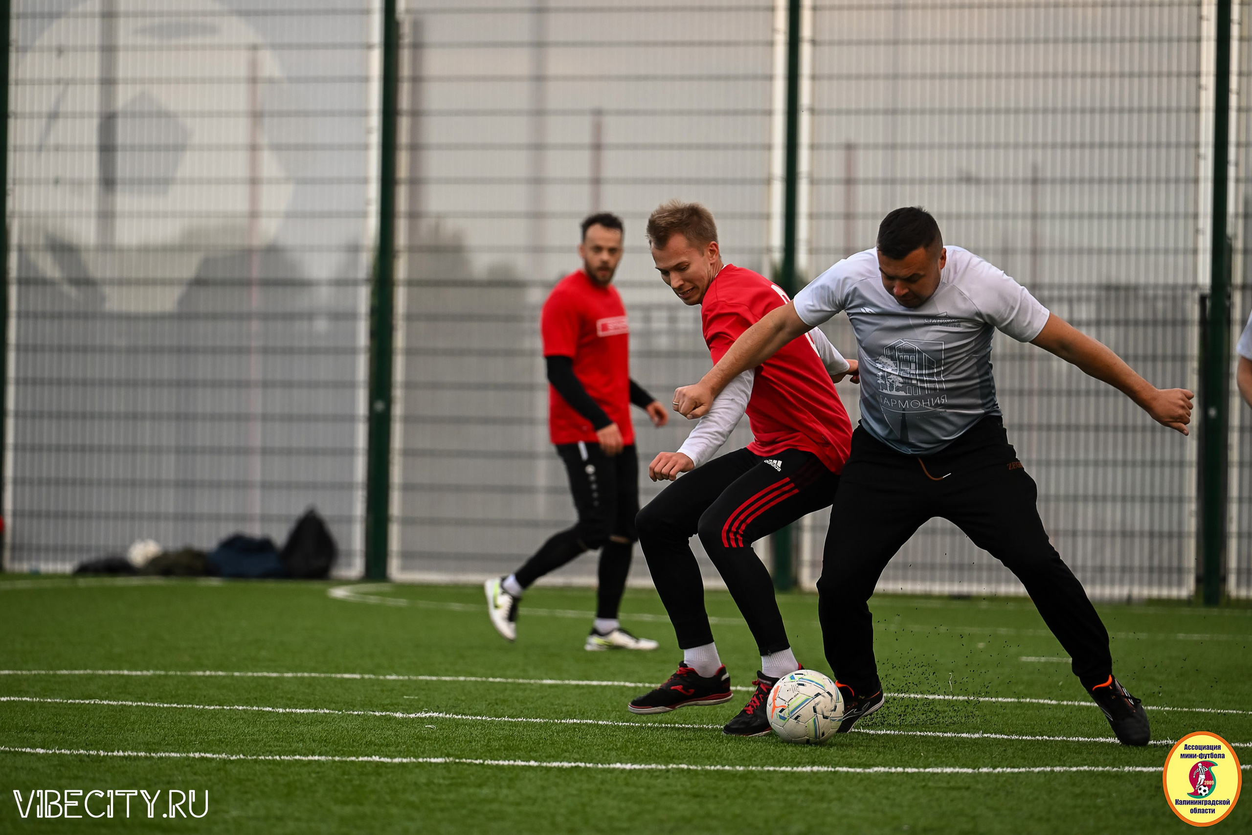 ИГРЫ МИНИ-ФУТБОЛЬНОЙ ЛИГИ. VIBECITY.RU Вайб Сити Ру Фоторепортажи Фотоотчеты Калининград