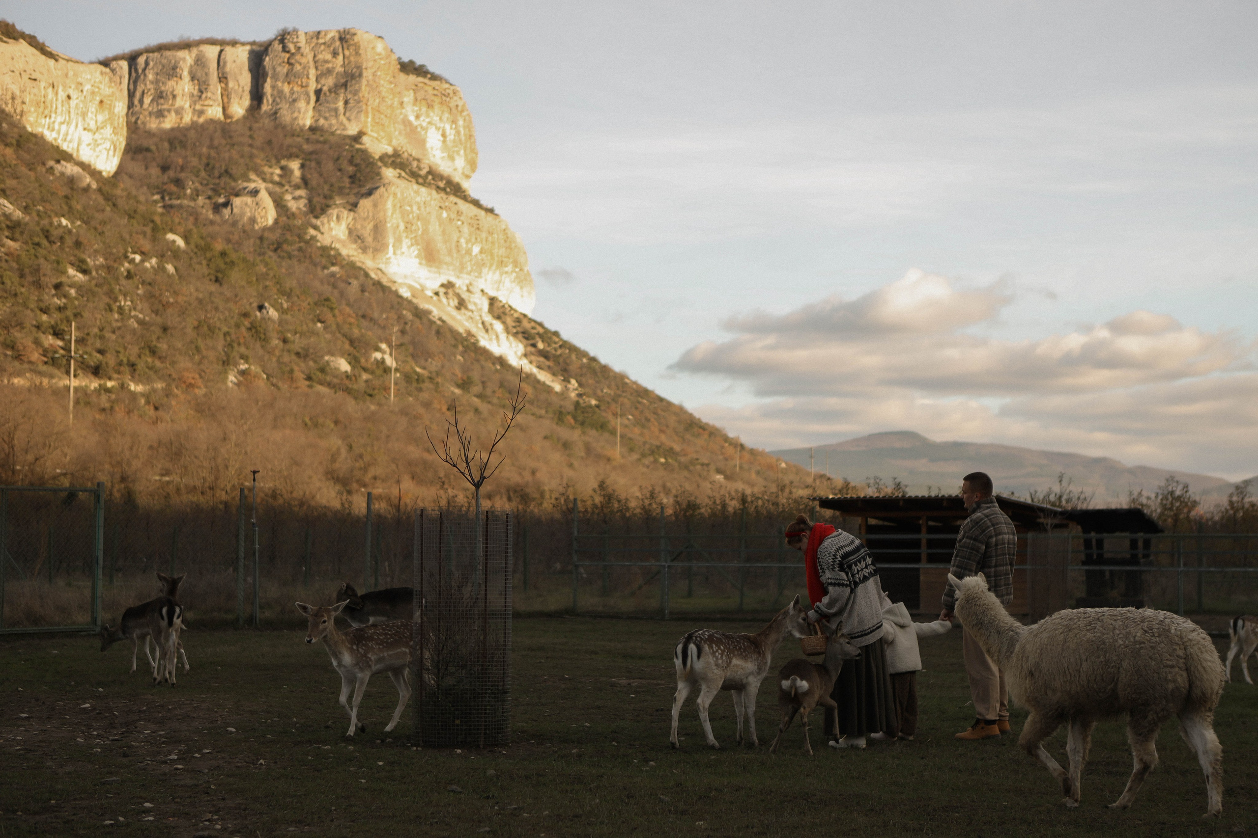 Чудесная девочка Майя и её родители. Фотограф в Крыму Богдана Захарчук